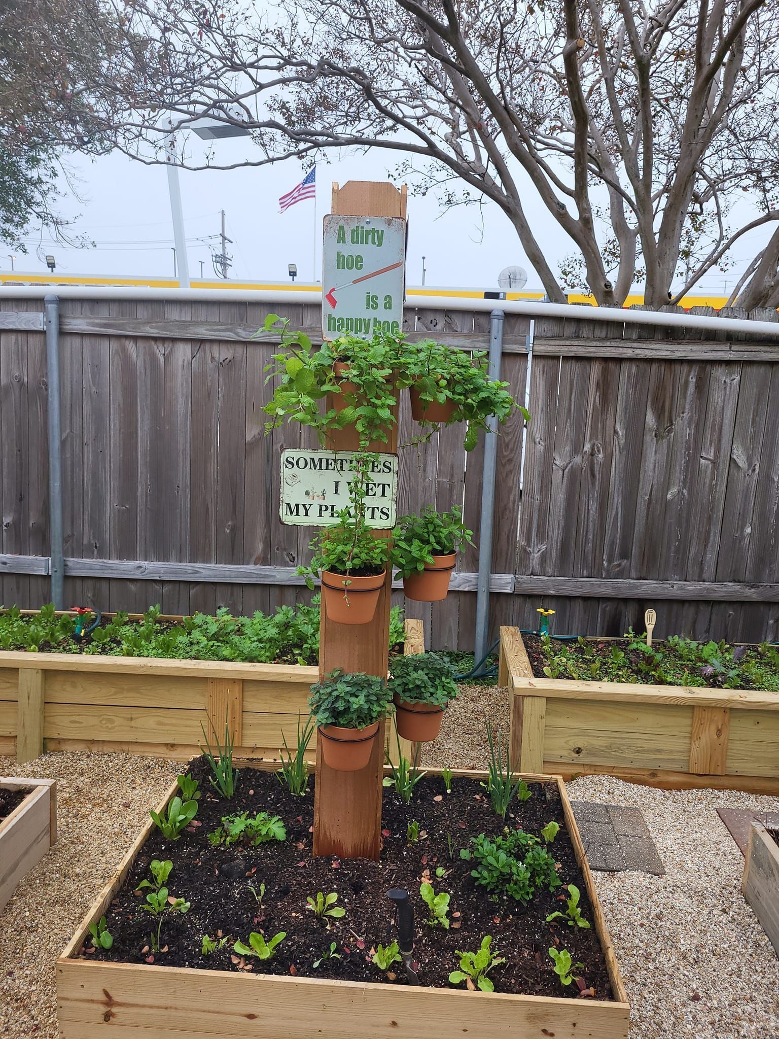 A garden with potted plants and a sign that says herbs on it