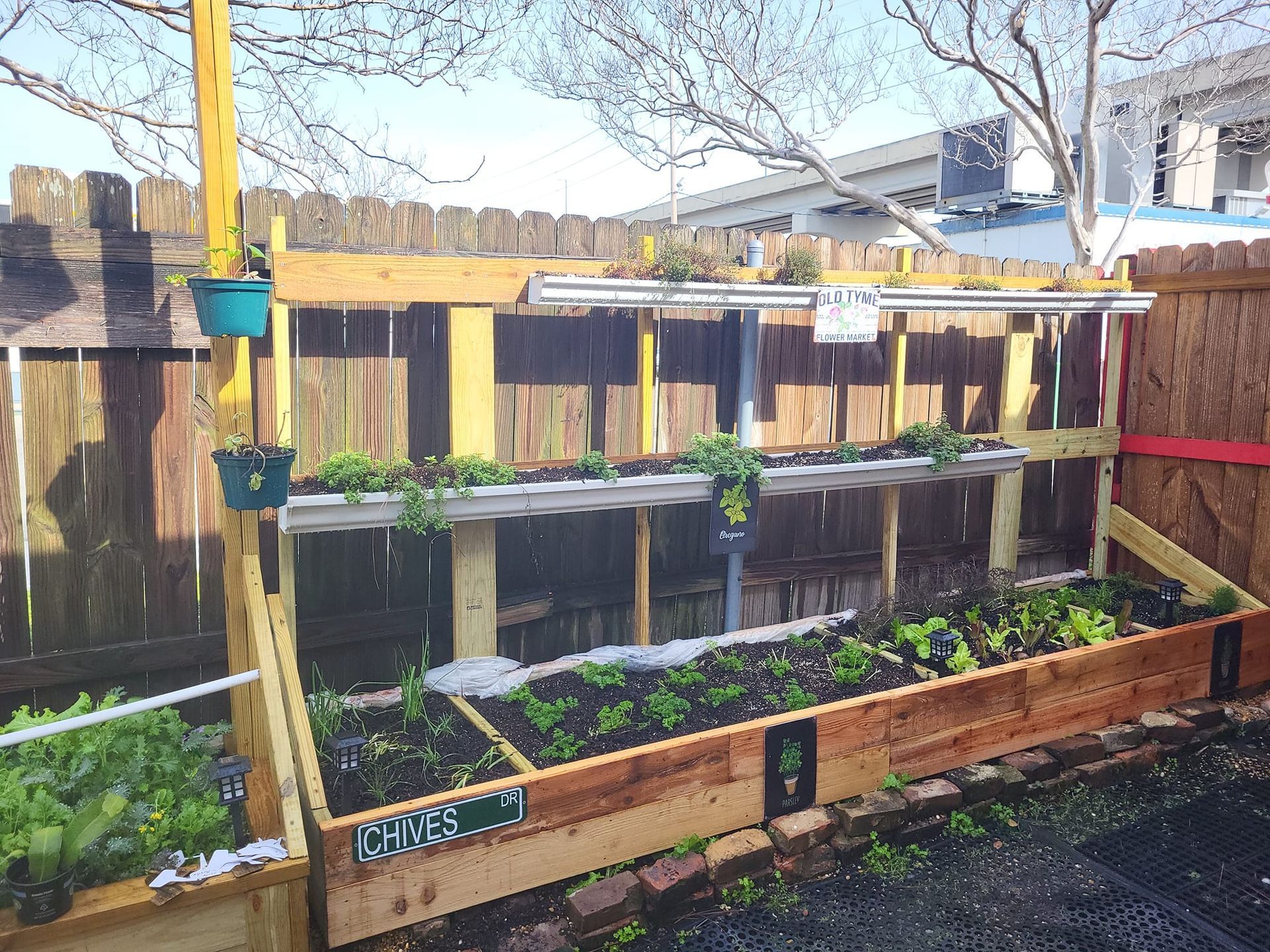 A garden with a sign that says frogs on it
