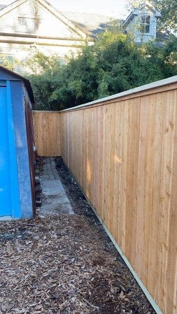 A wooden fence surrounds a blue shed in a backyard.