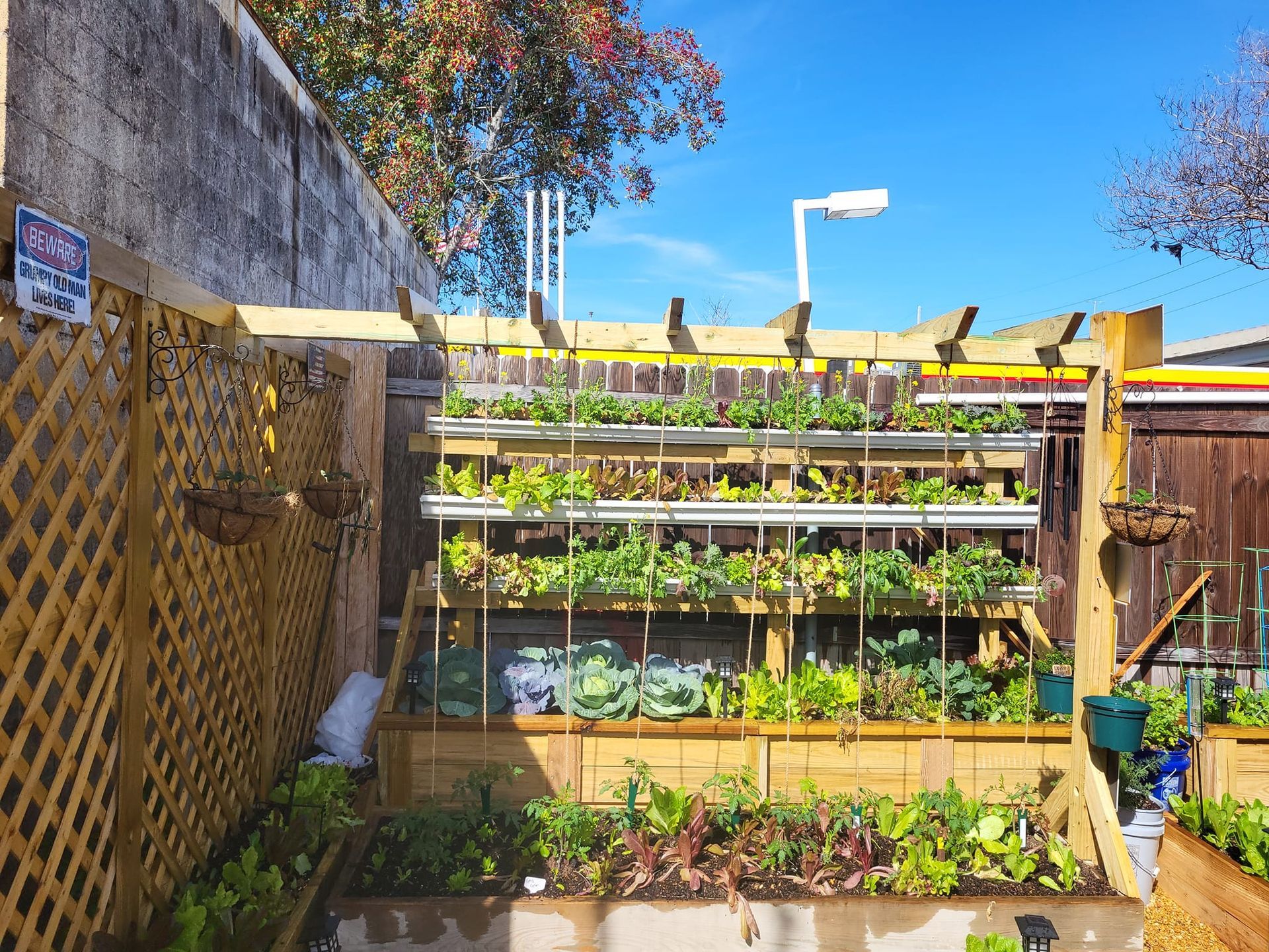 A garden with lots of plants and a sign that says no parking