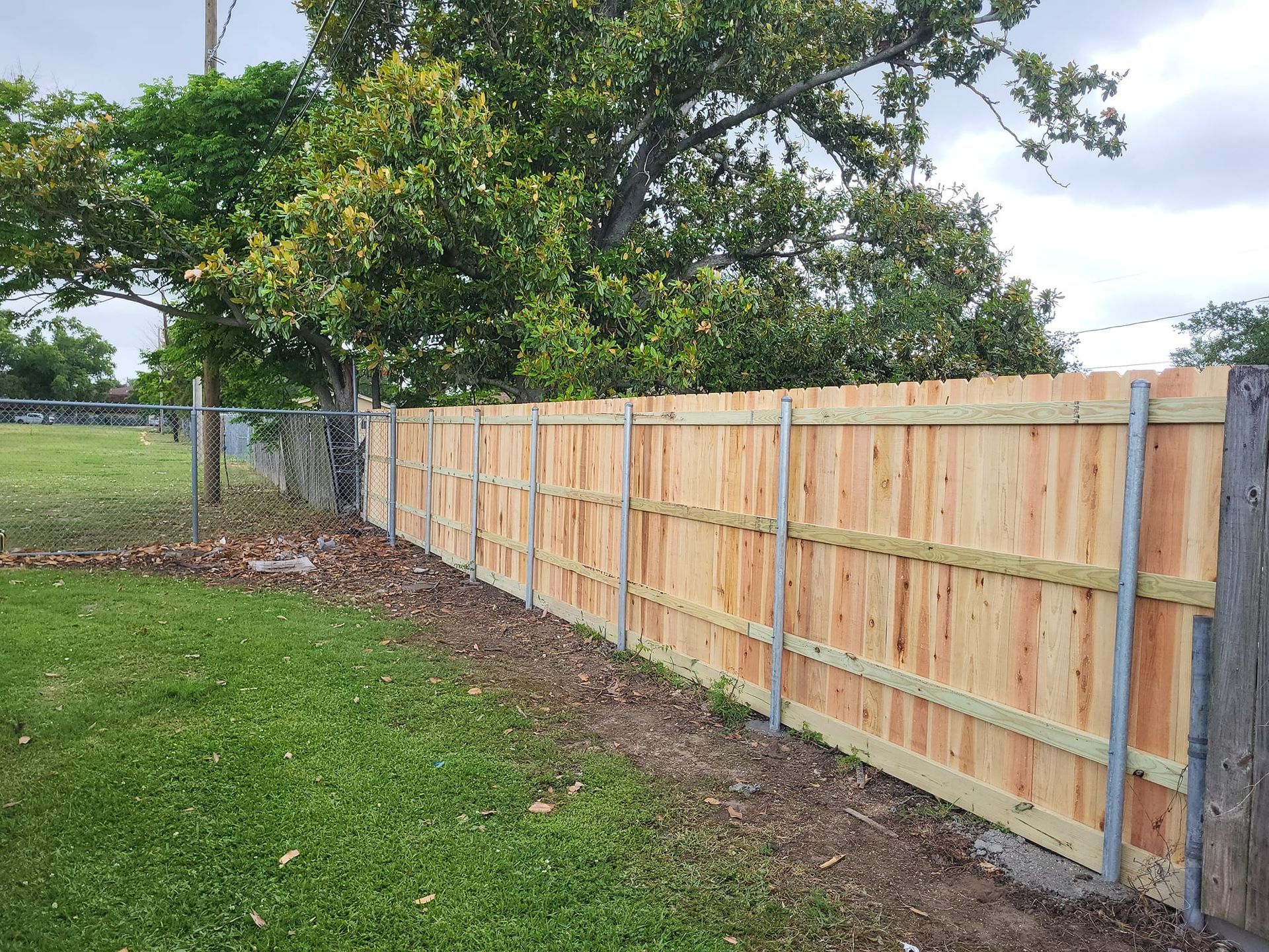 A wooden fence is surrounded by grass and trees in a backyard.