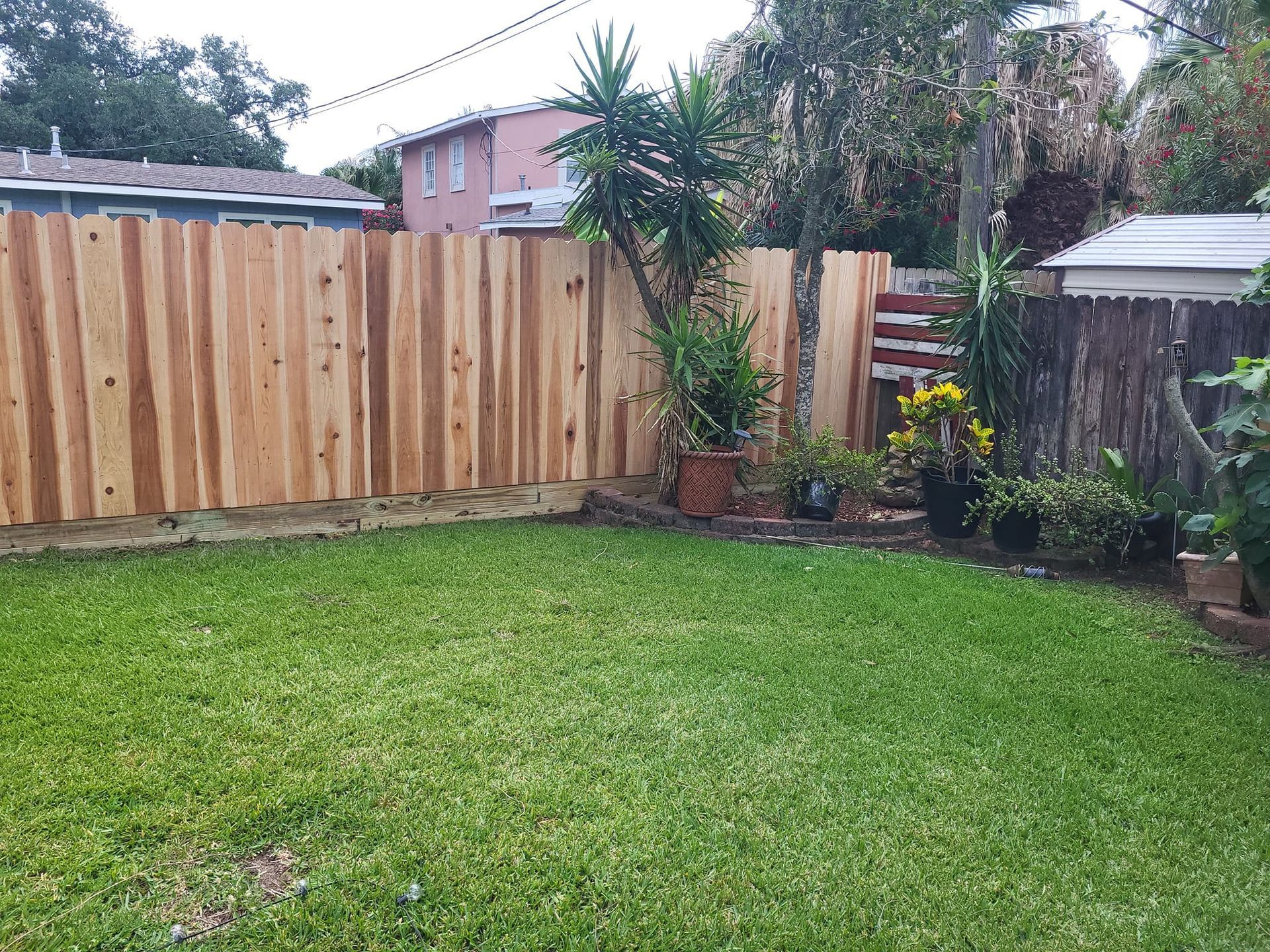 A backyard with a wooden fence and a lush green lawn.