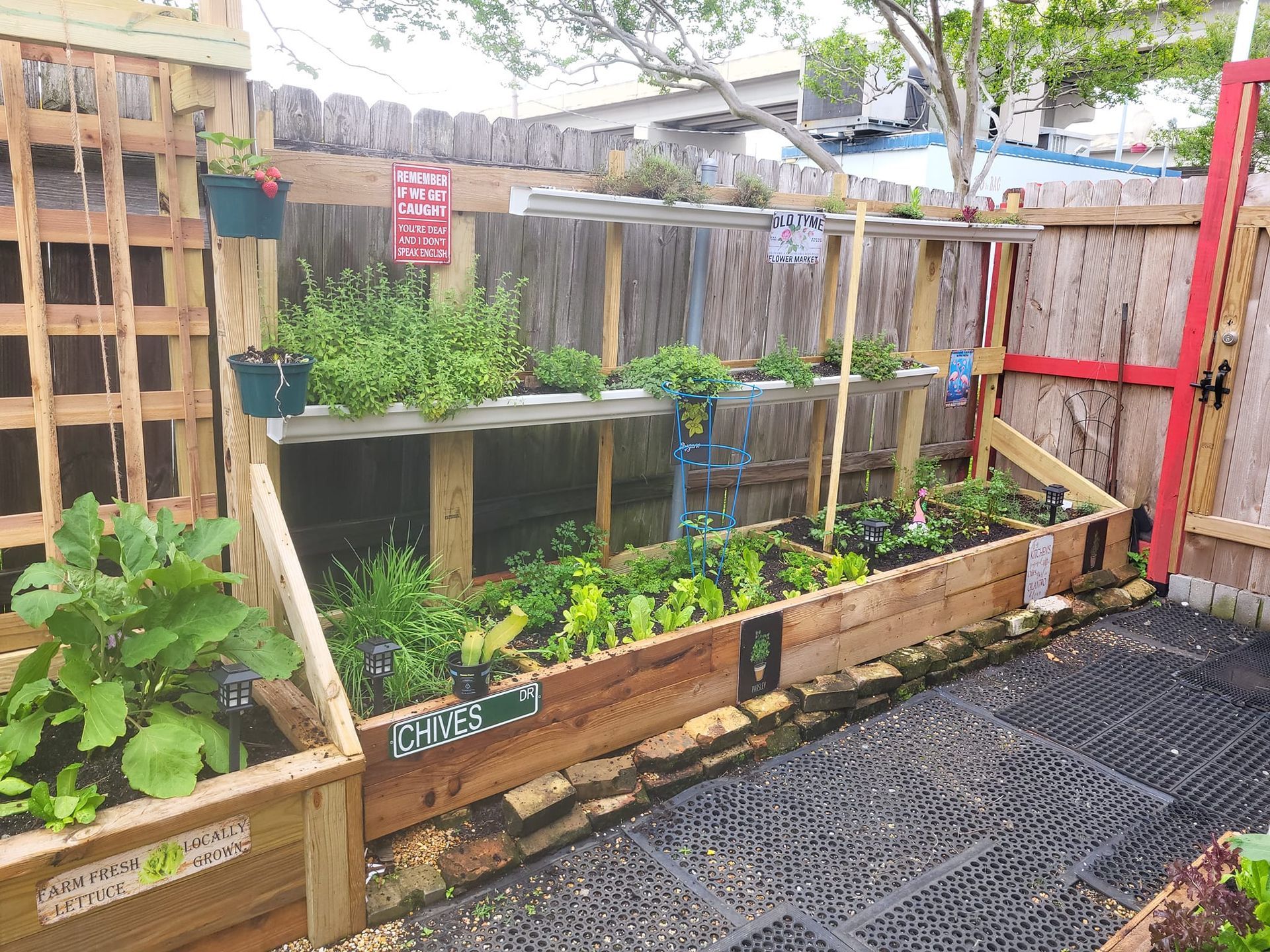 A wooden garden with lots of plants growing in it