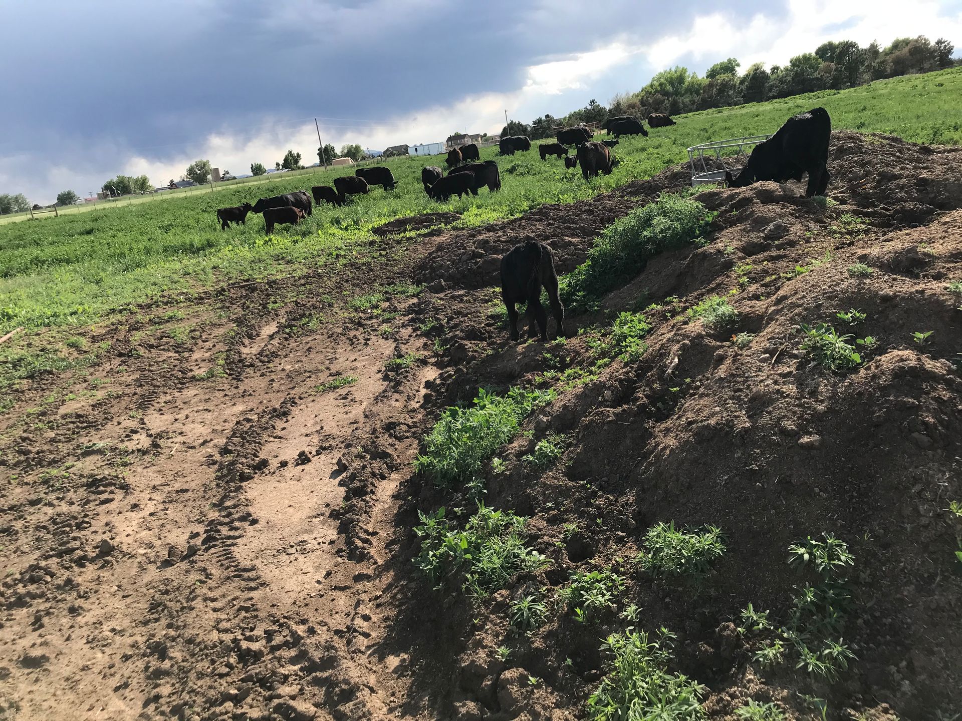 A close-up of a brick floor with a diagonal pattern A close-up of a brick floor with a diagonal pattern