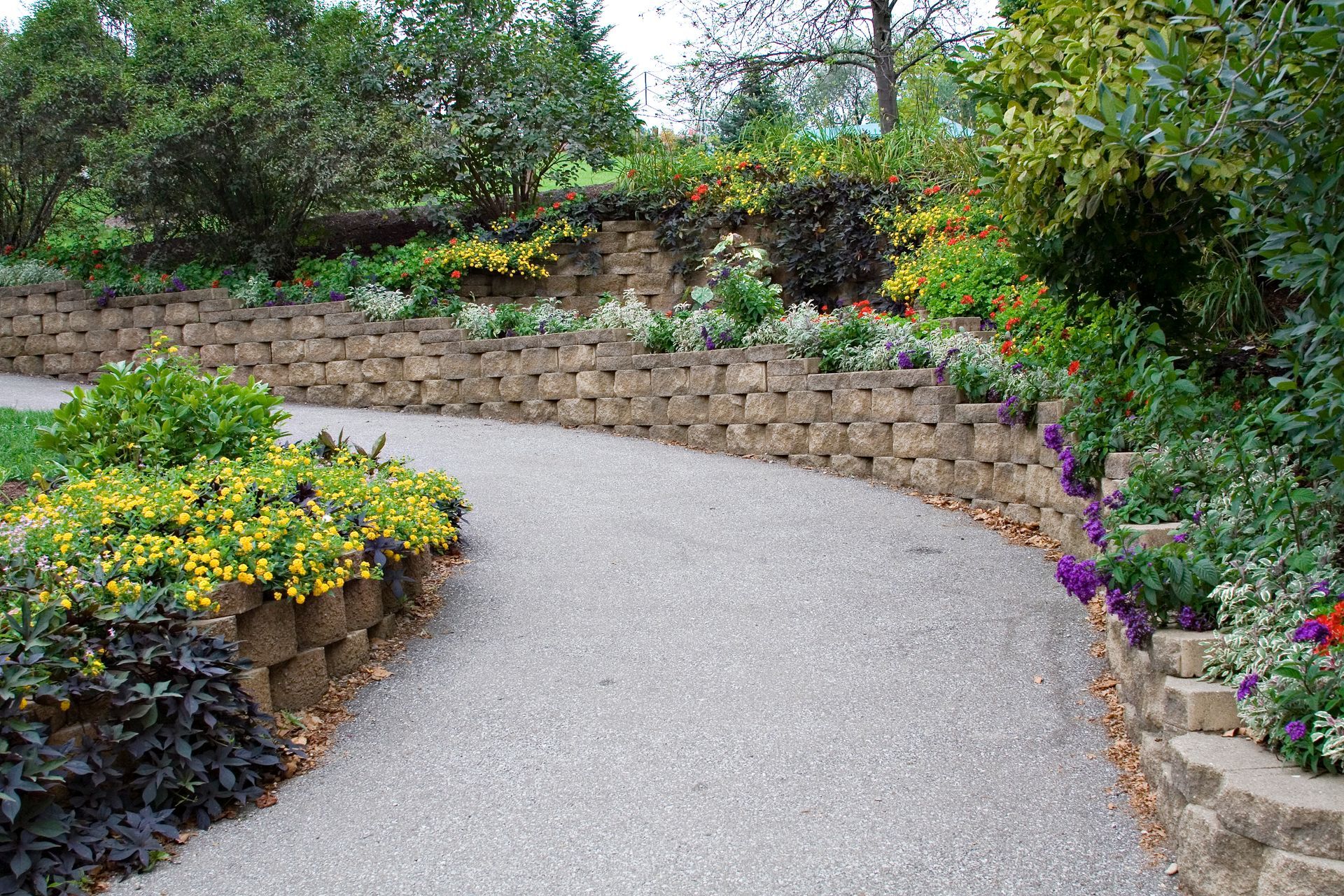 A path surrounded by flowers and a stone wall