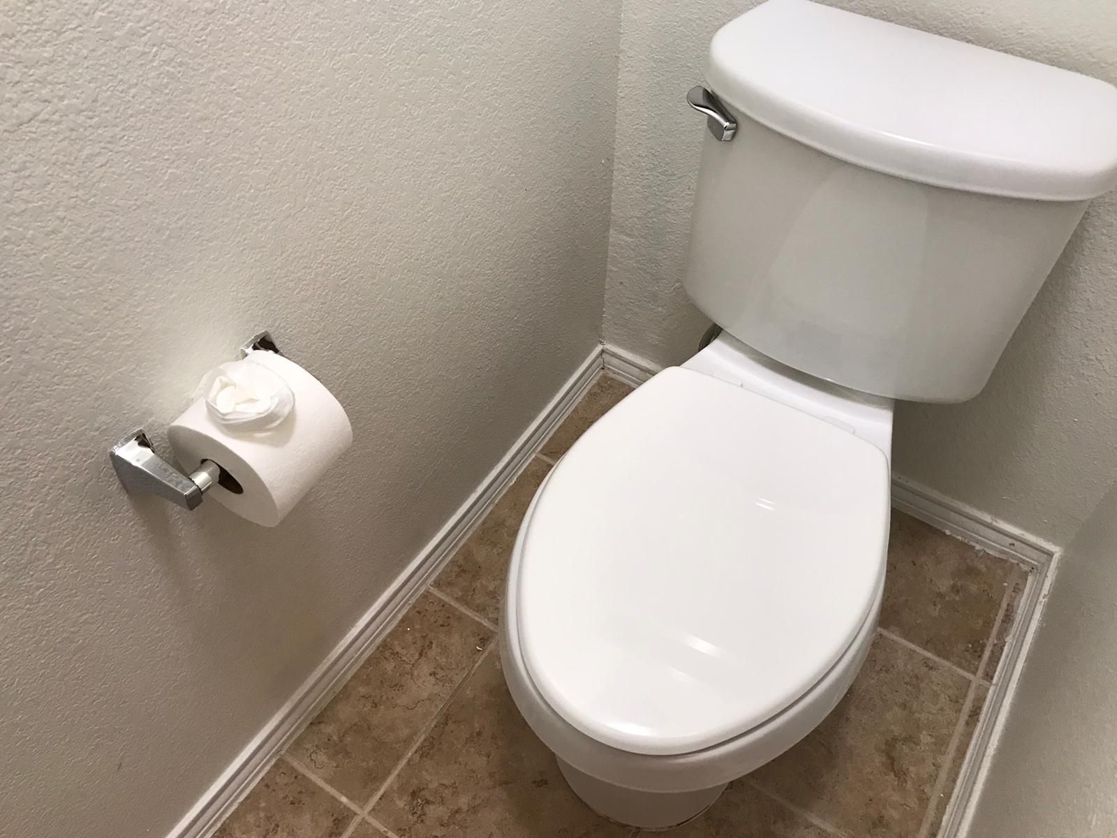 A white toilet is sitting in a bathroom next to a roll of toilet paper.