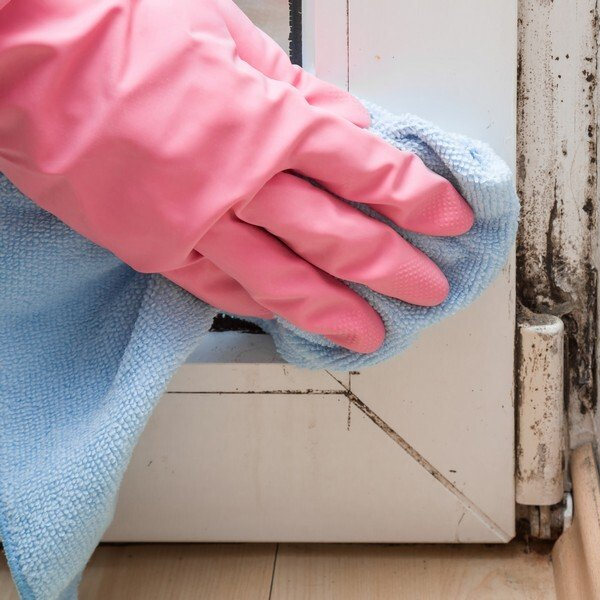 Mold Cleaning — Chapel HIll, NC — A Healthy Home