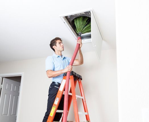 Mold Problem — Chapel Hill, NC — A Healthy Home