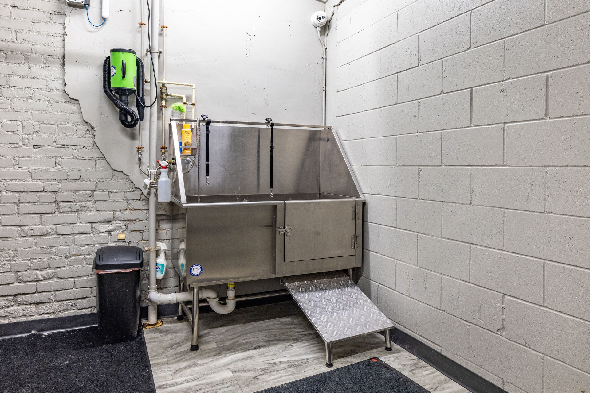 Dog grooming station with stainless steel tub, ramp, and green wall-mounted equipment, against a brick wall. at R7 Lofts in St. Paul, MN.