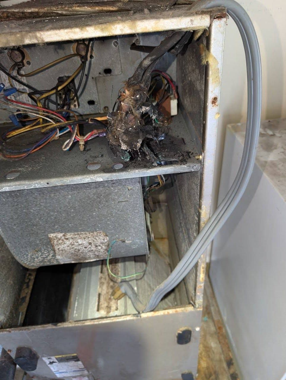 The inside of a dirty refrigerator with a hose coming out of it.