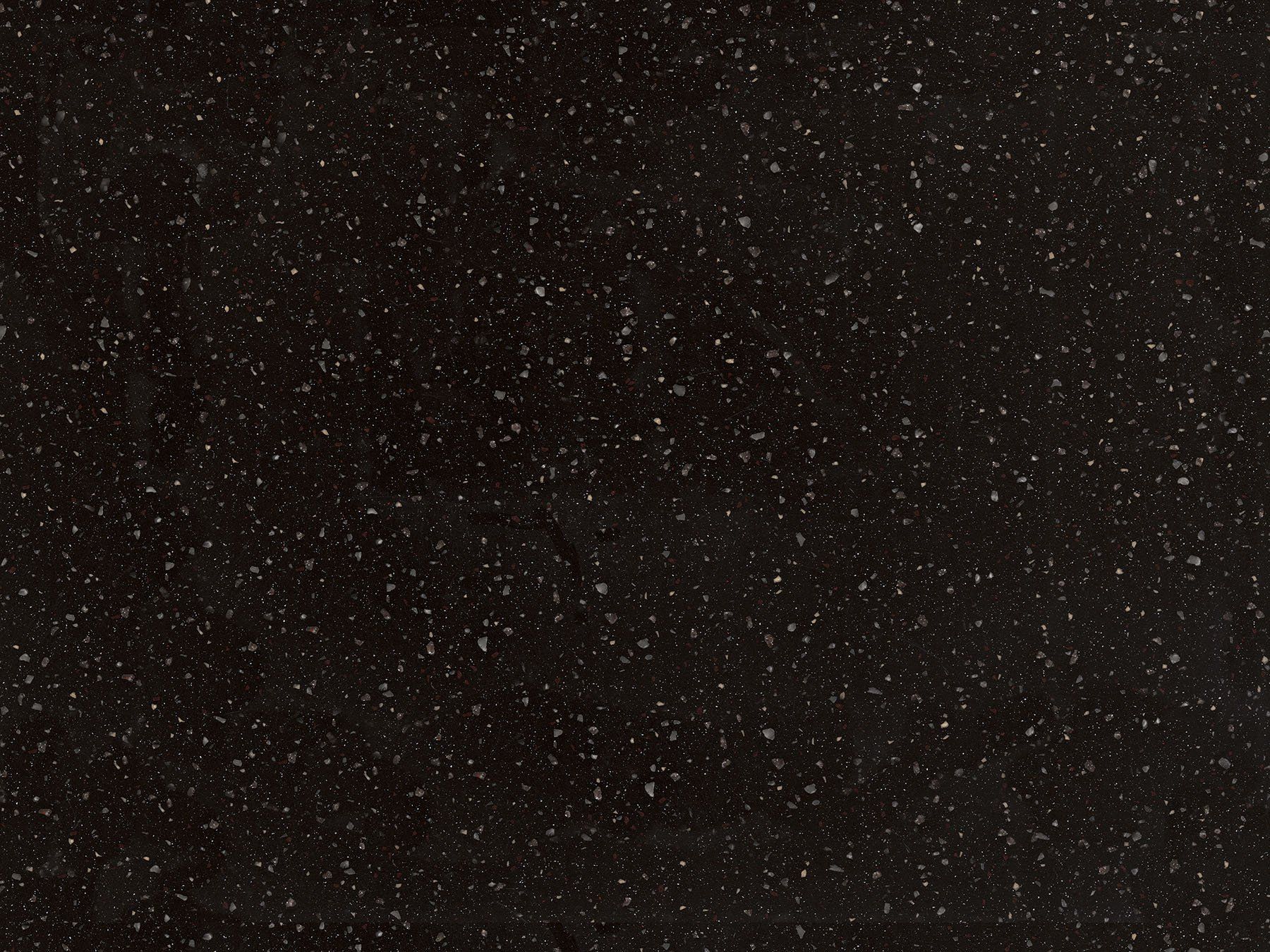 Dark surface speckled with many tiny, light-colored dots, resembling a starry night sky.