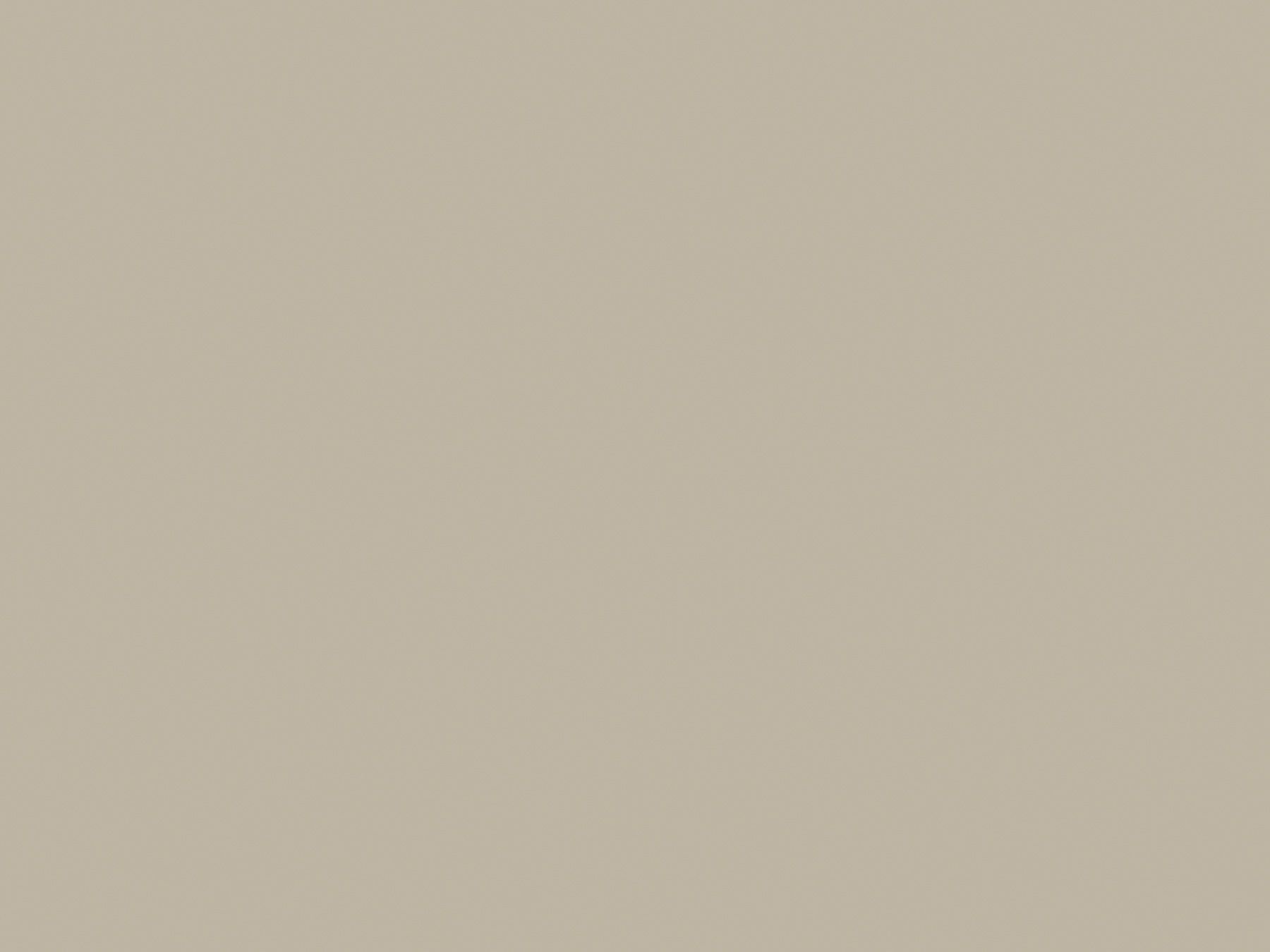 Solid, muted beige background.