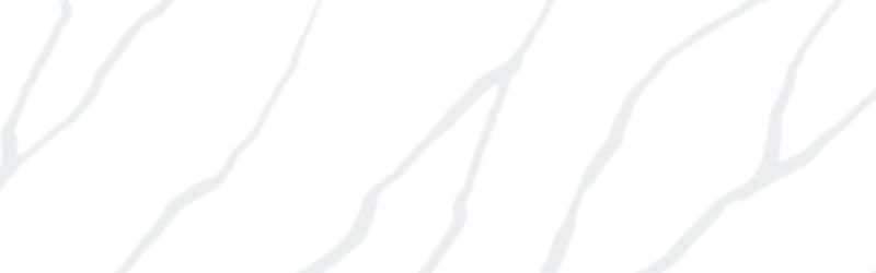 White background with light grey veining pattern.