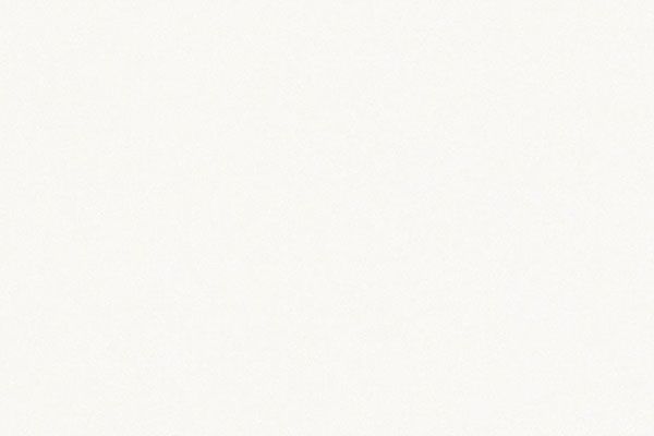 Plain white background.