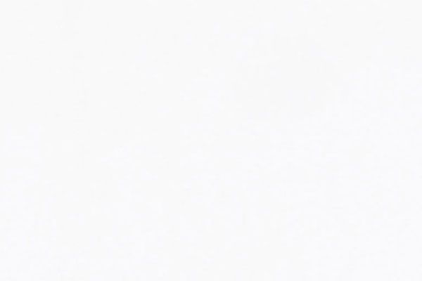 White textured surface.