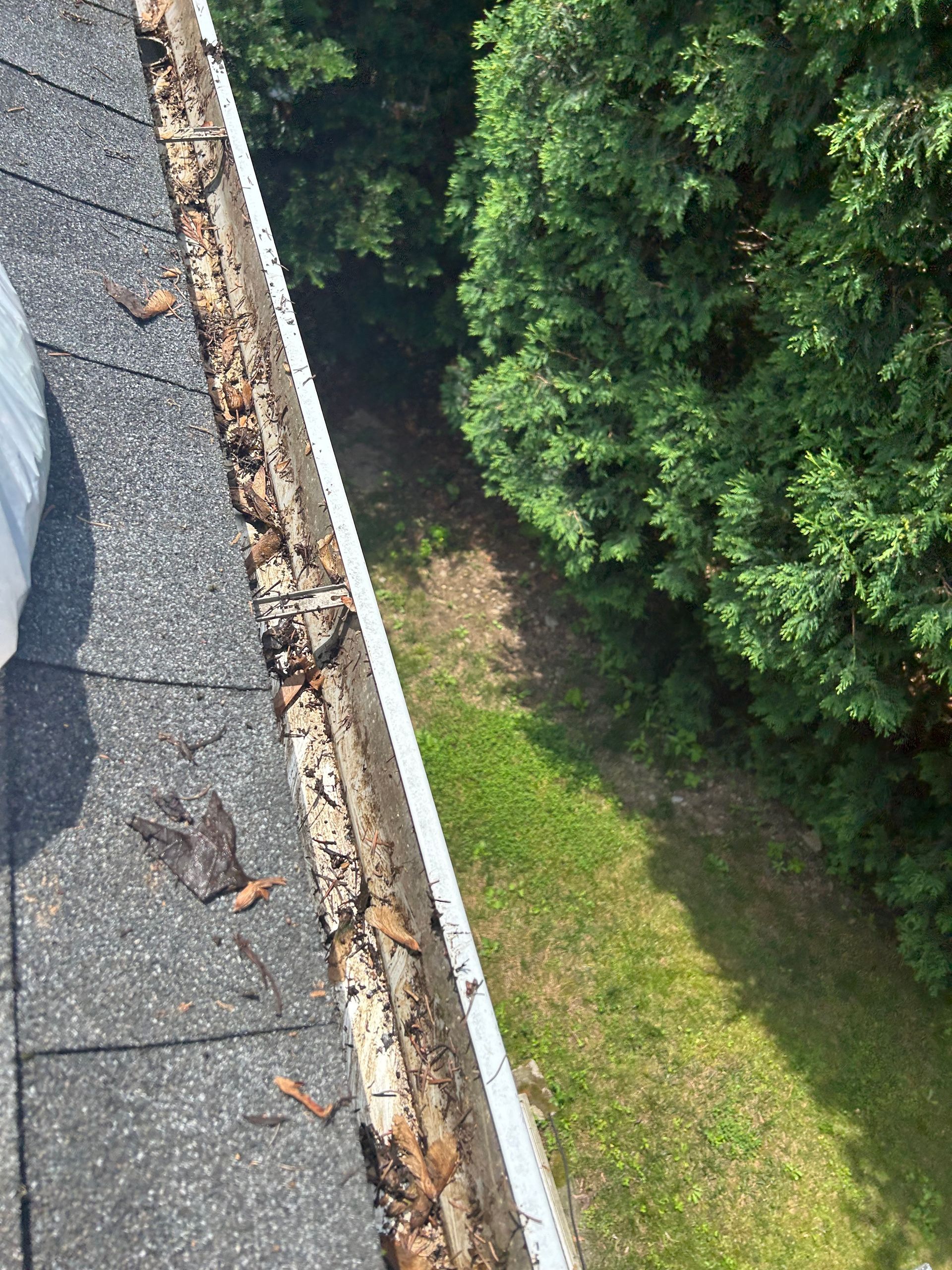 Before Gutter Cleaning - North East, PA - Bellingham Property Works