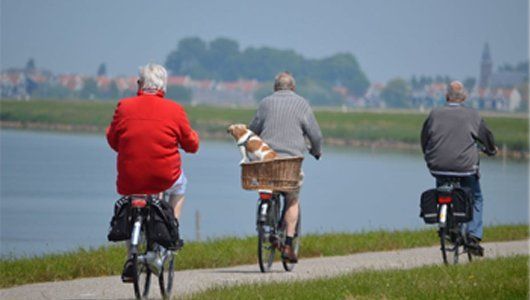 Three people are riding bicycles with a dog in a basket.