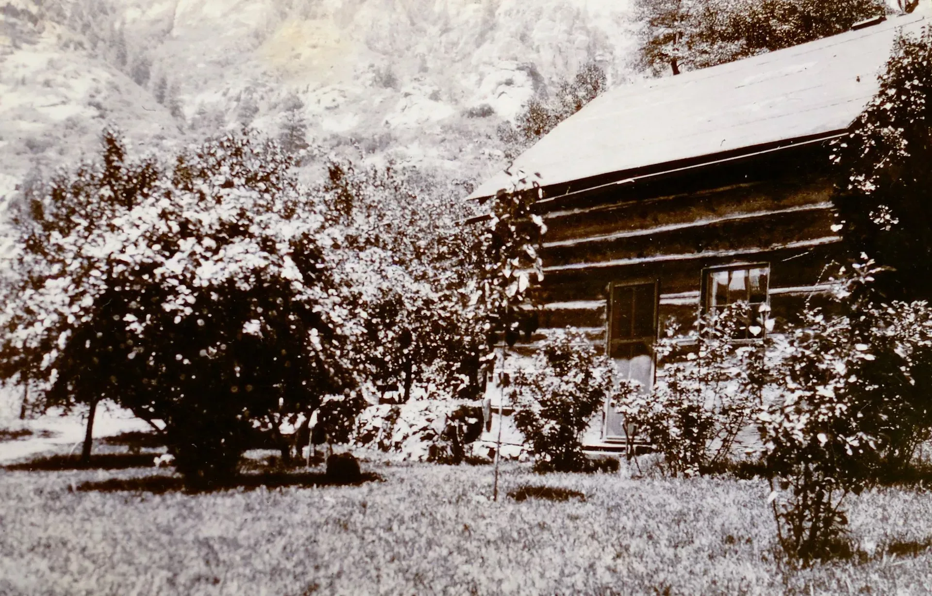Log cabin nestled amongst flowering trees in a grassy yard.