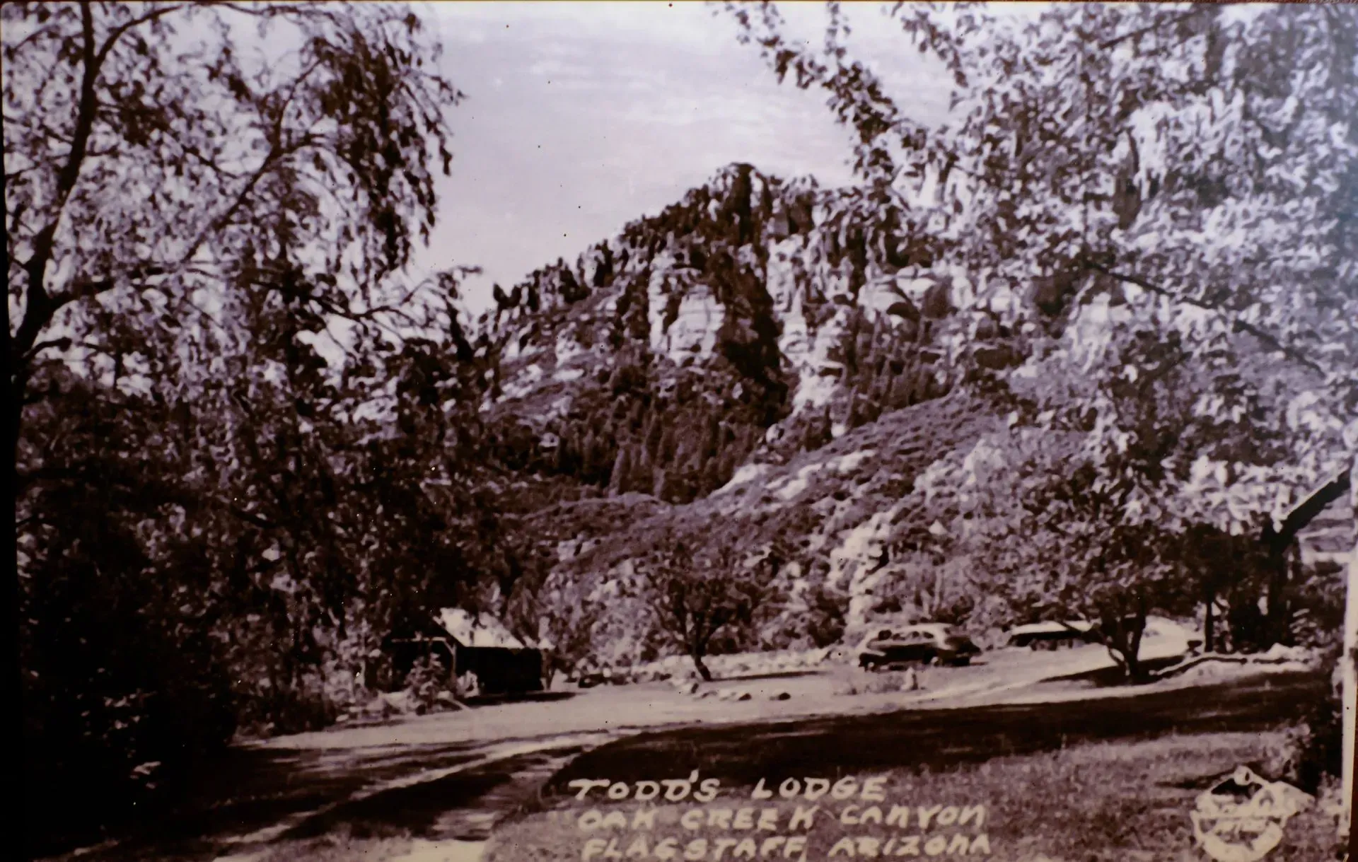 Todd's Lodge in Oak Creek Canyon, Arizona, surrounded by trees and a rocky mountain in the background.