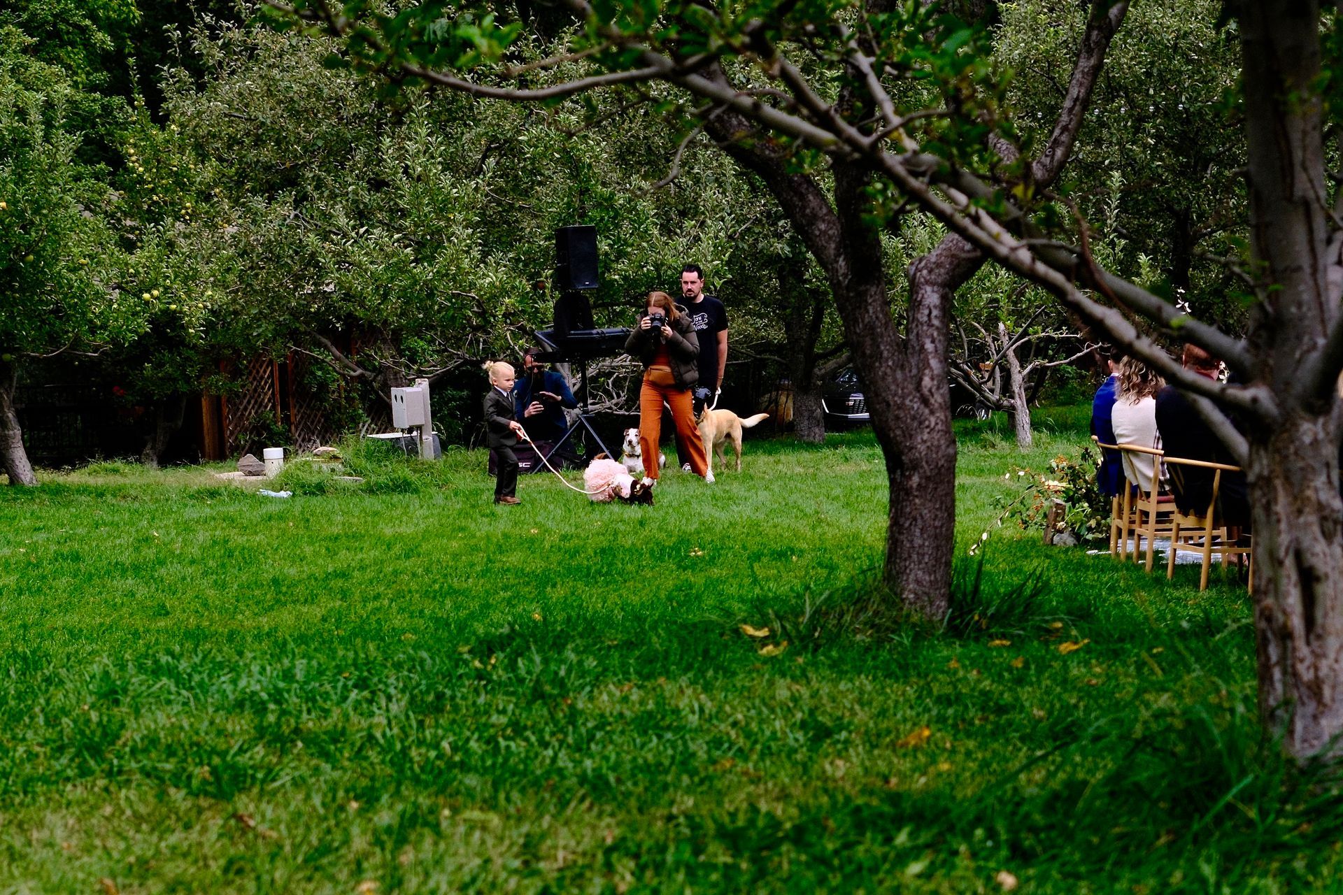 People and dogs on a grassy lawn near trees. A person holds a dog leash, others stand nearby.