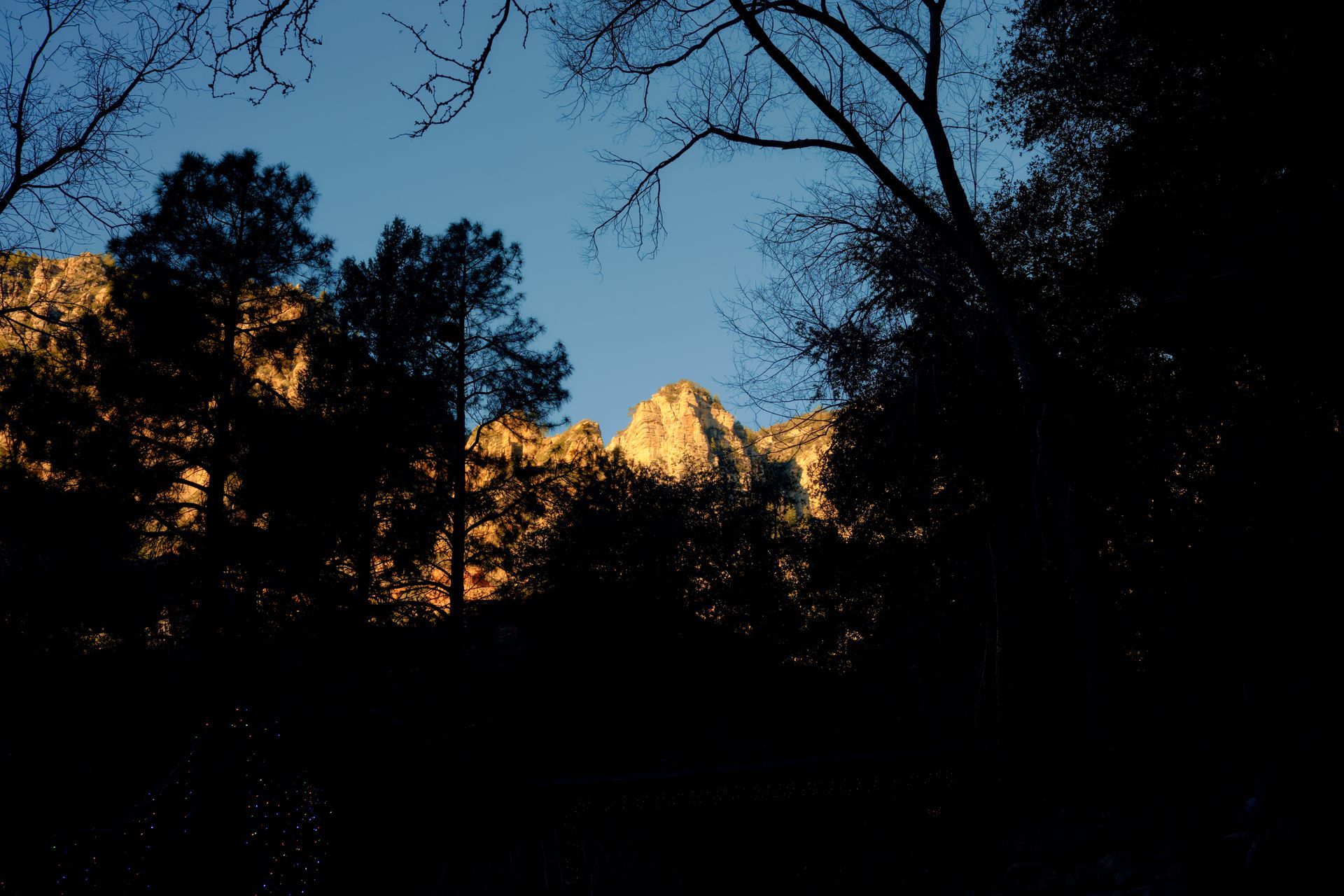 Silhouetted trees frame a view of a sunlit mountain peak against a blue sky.