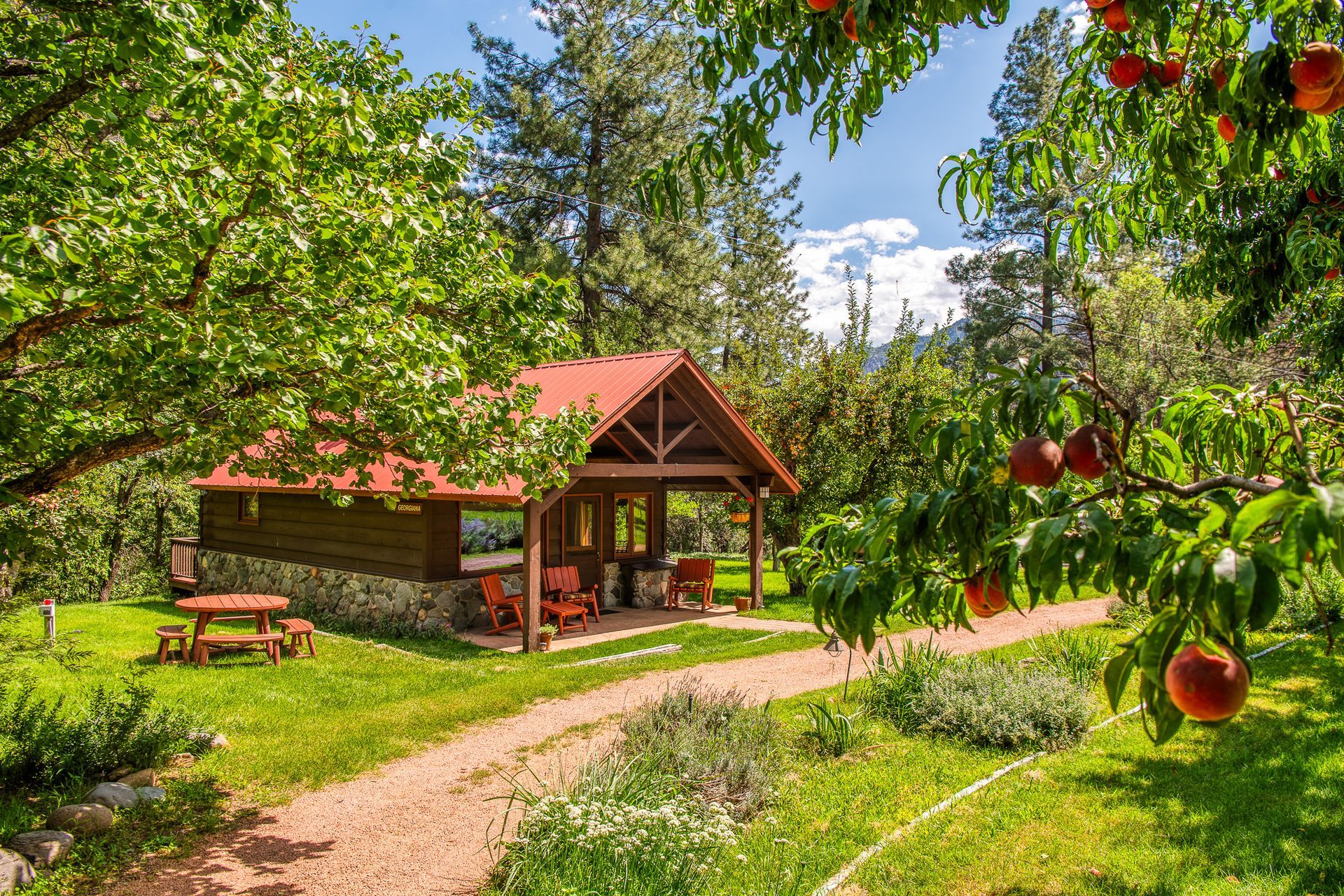 Brown cabin with a red roof, set among lush green trees, a peach orchard, and a gravel path.