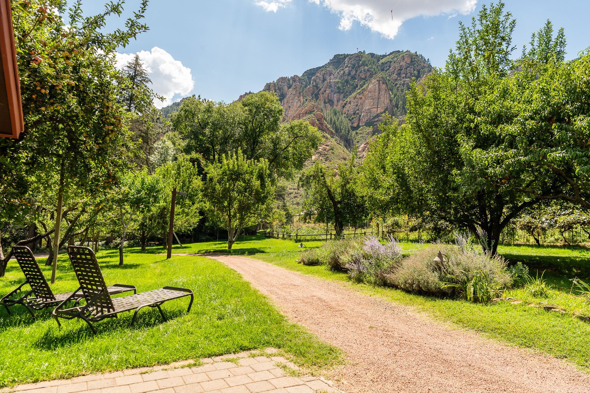 Green lawn with a gravel path leading through trees toward a mountain under a sunny sky.