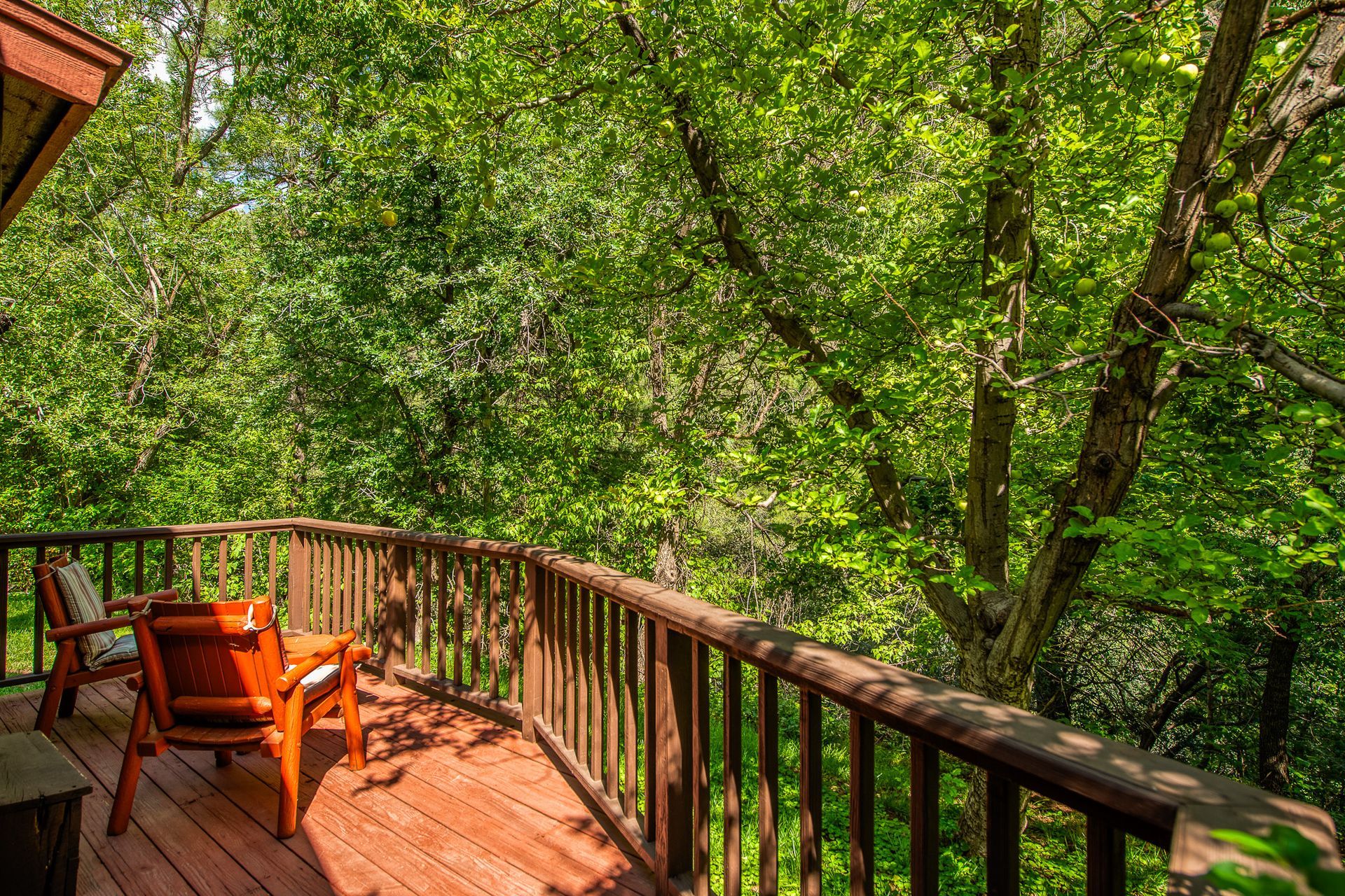 Wooden deck with two chairs overlooking lush green trees.