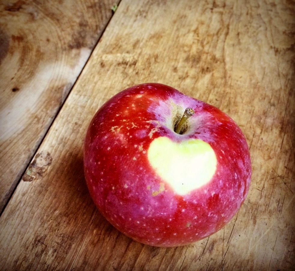 Red apple with a heart-shaped marking, resting on a rustic wooden surface.
