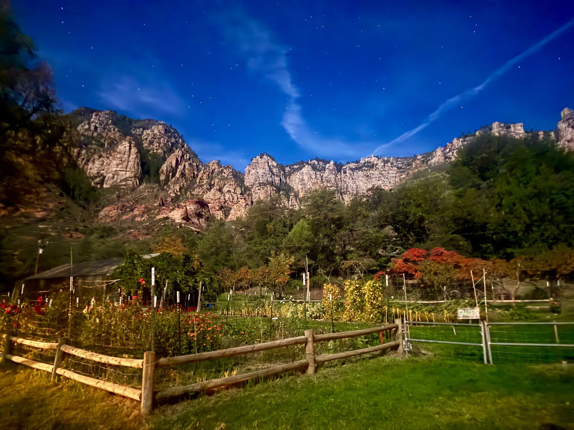Garden with a wooden fence, colorful plants, and towering rock formations under a starry night sky.