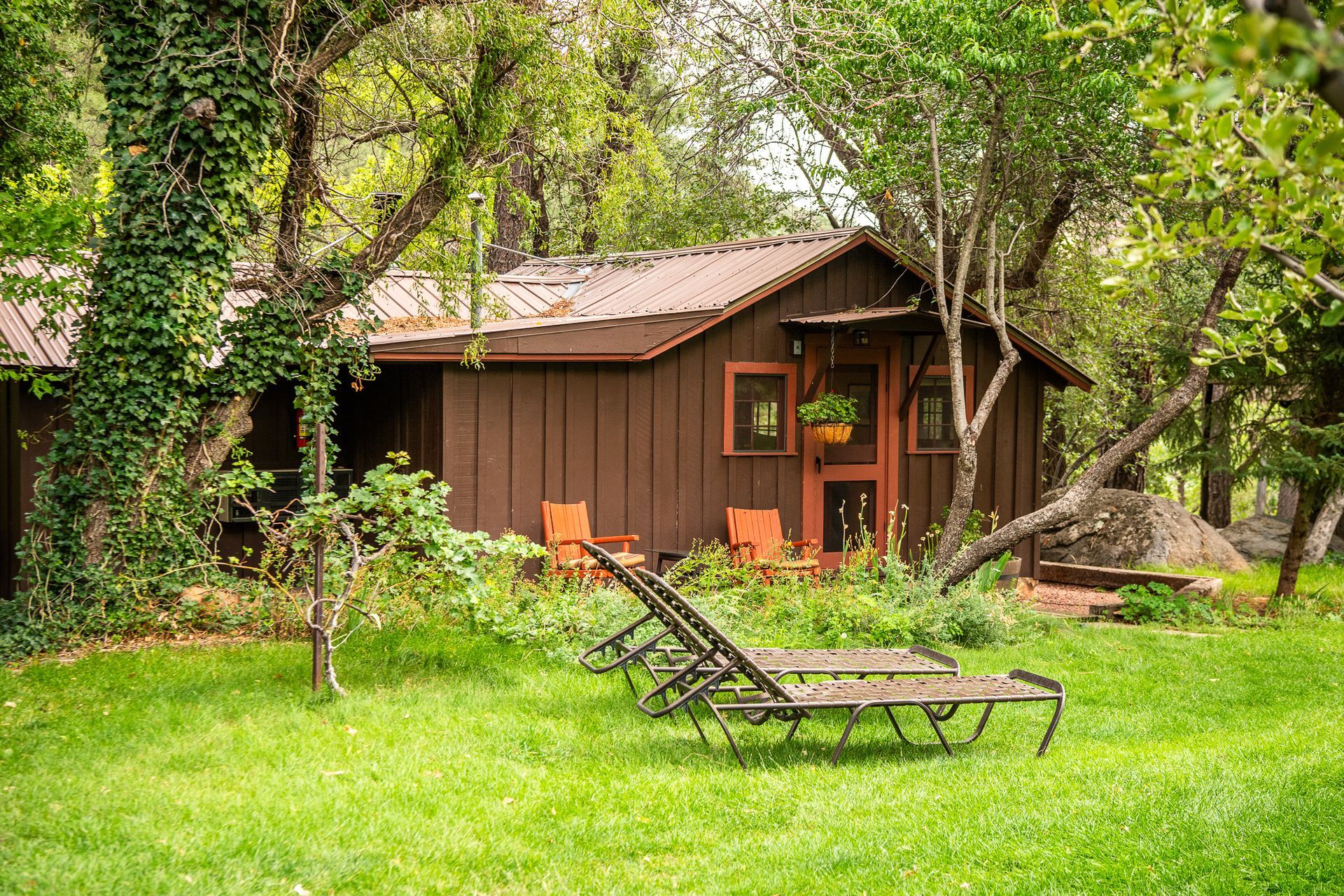 Brown cabin with green lawn, trees, and two lounge chairs.