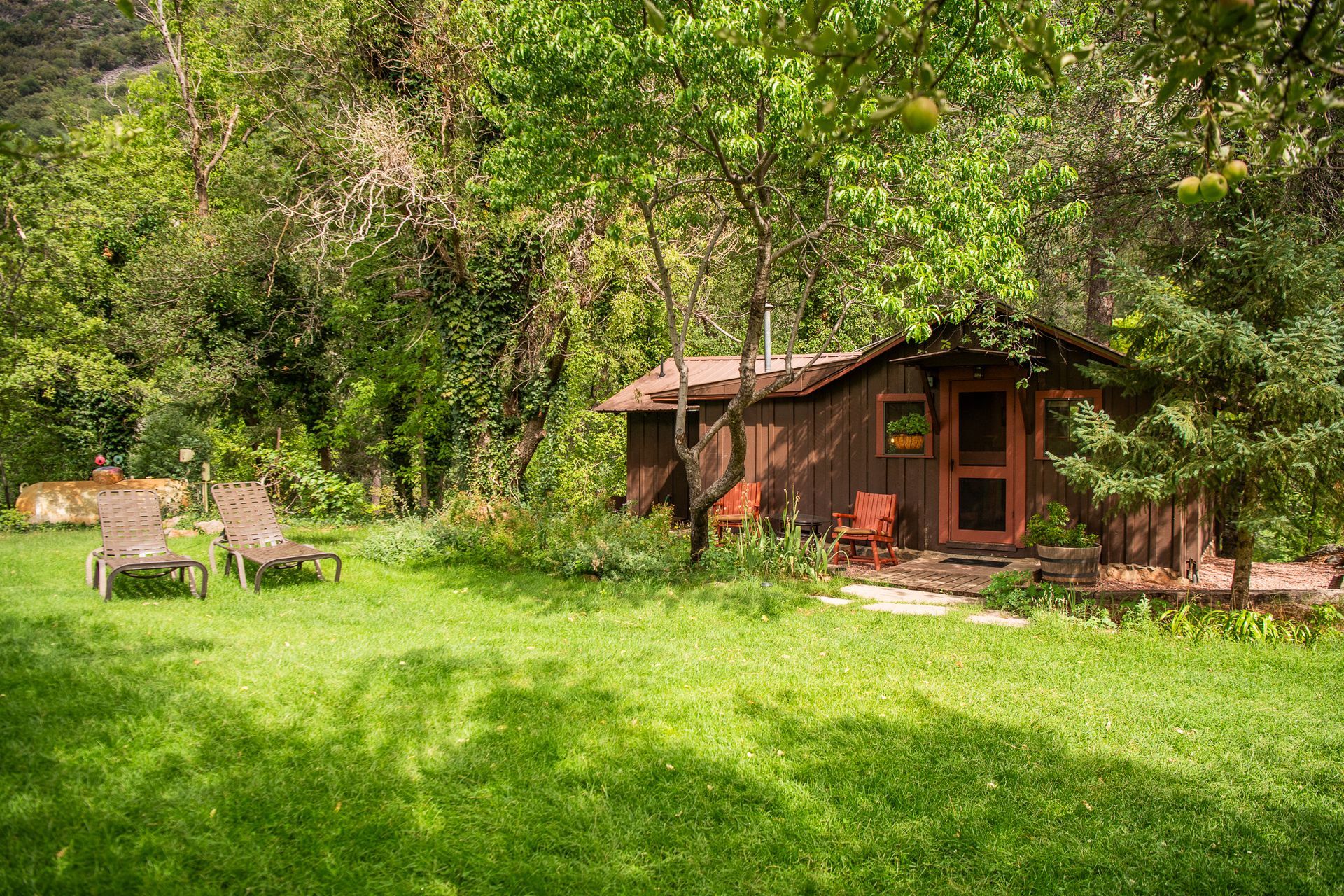Cabin in sunny green yard with trees; lounge chairs sit on the left.