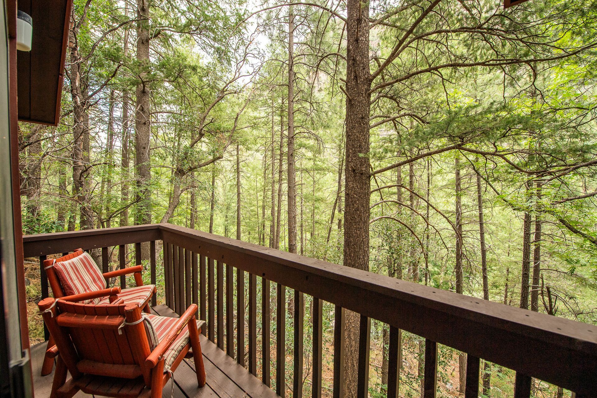 Wooden balcony with two chairs overlooking a forest of tall trees.