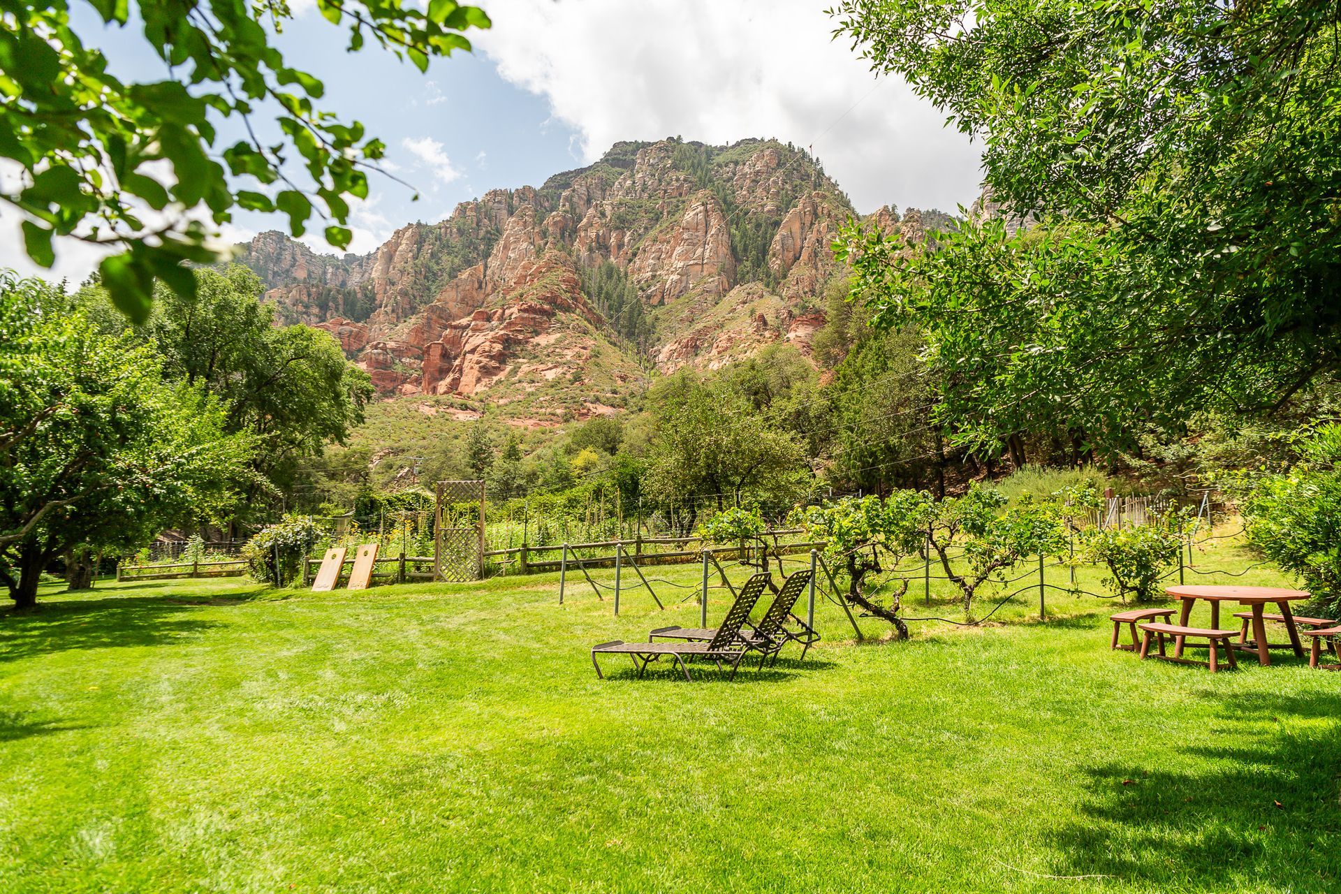 Lush green lawn with picnic table and mountain backdrop, trees in foreground, bright sunny day.