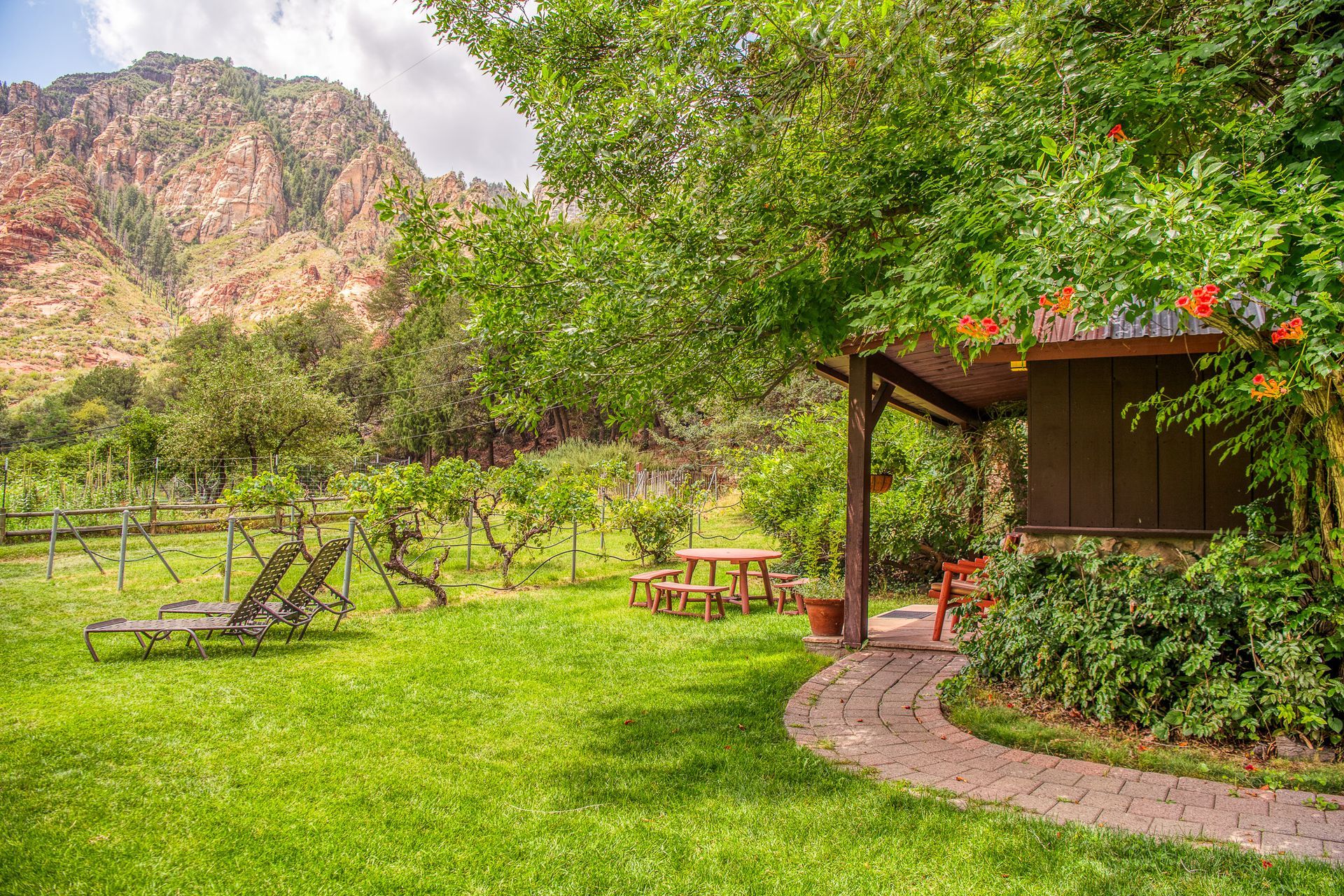 Green yard with a mountain backdrop, small wooden structure, and a table set.