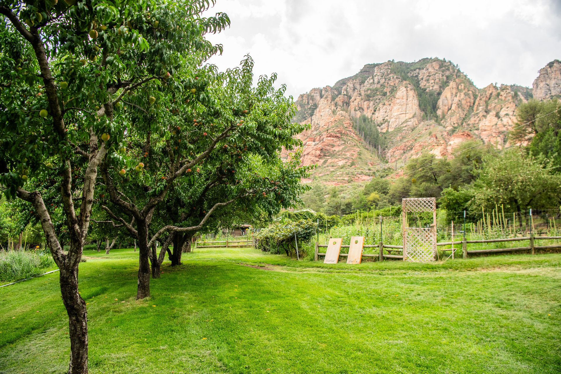 Lush green yard with trees, garden and mountain backdrop.