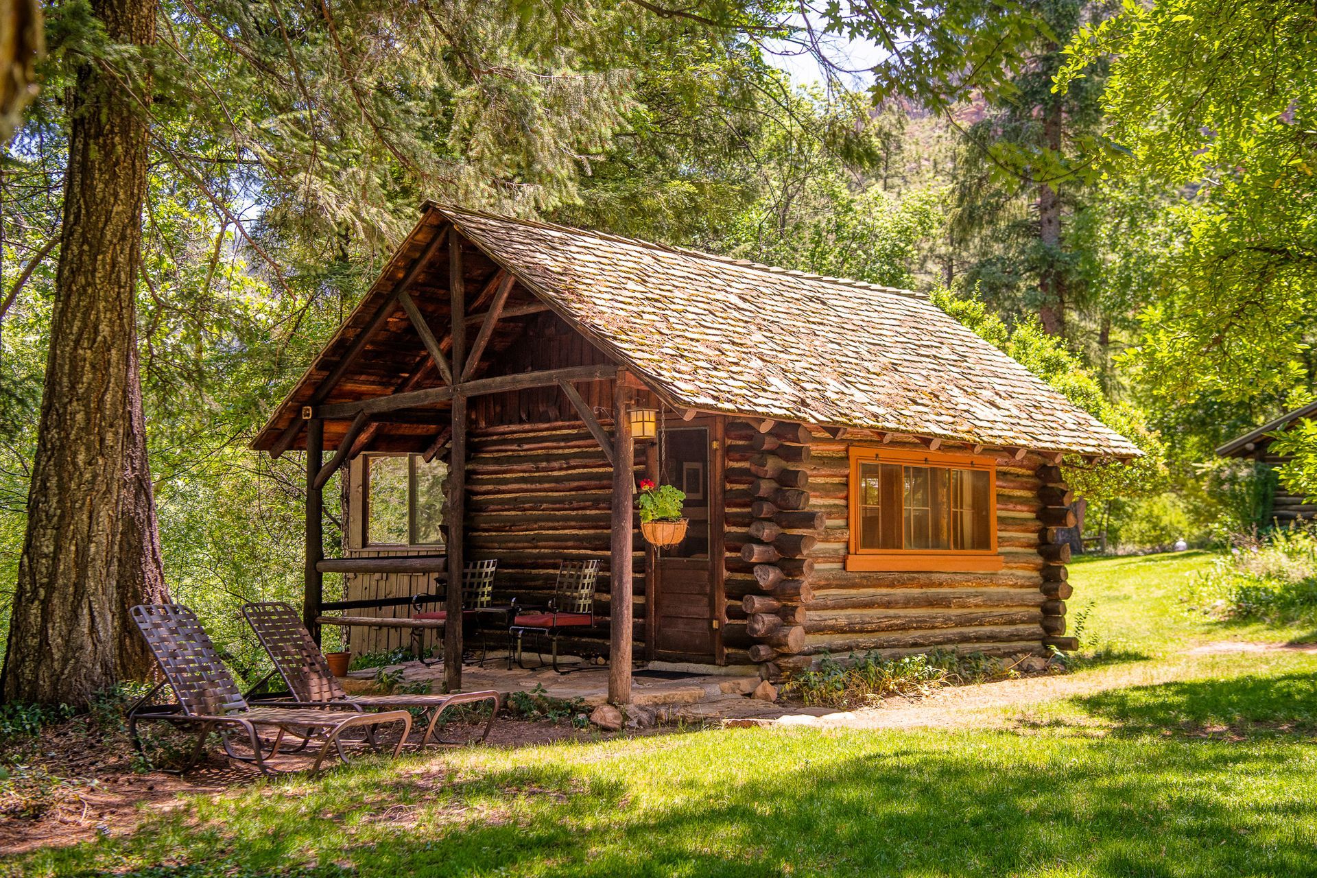 Log cabin with porch in a sunny forest. Brown wood, green grass and trees.