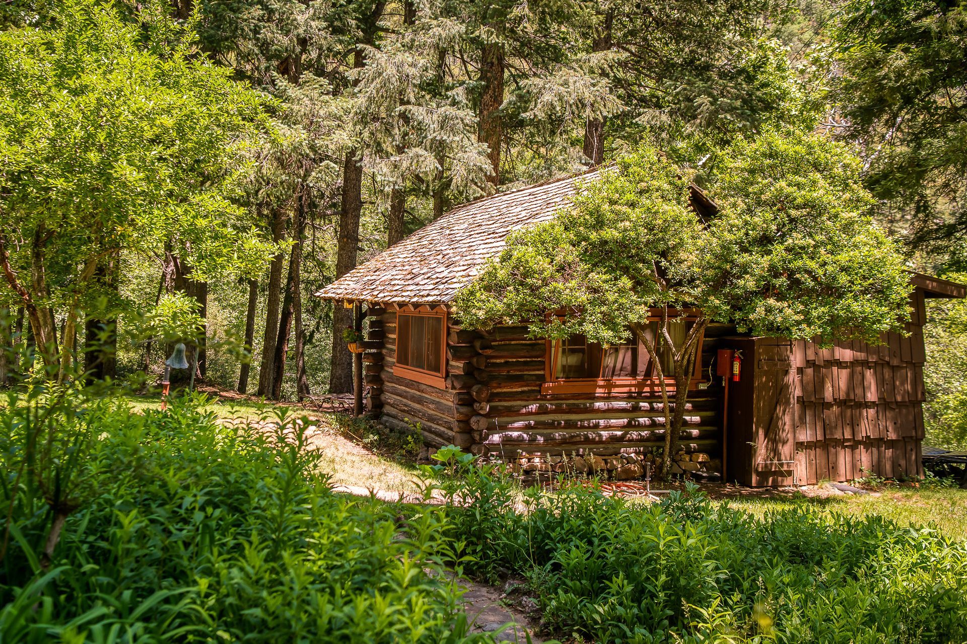 Wooden cabin nestled in a lush green forest, surrounded by trees and foliage.