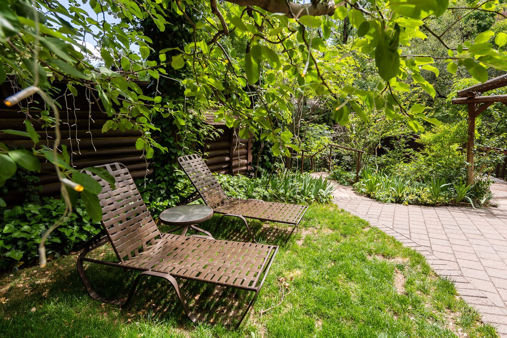 Two lounge chairs on a lawn under a tree, next to a brick path, with a wooden fence in the background.