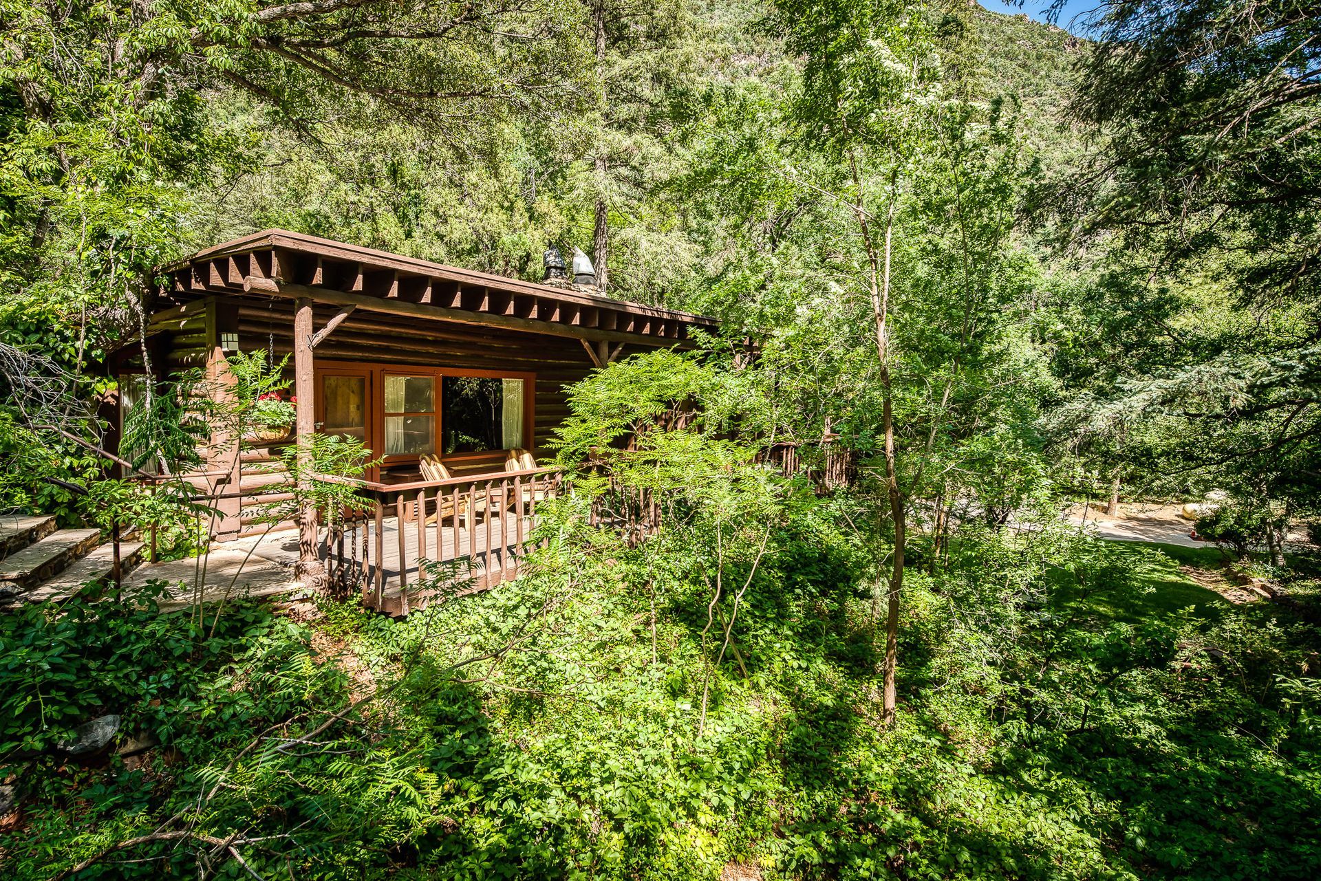 Wooden cabin nestled in lush, green foliage with a porch, steps, and surrounding trees.
