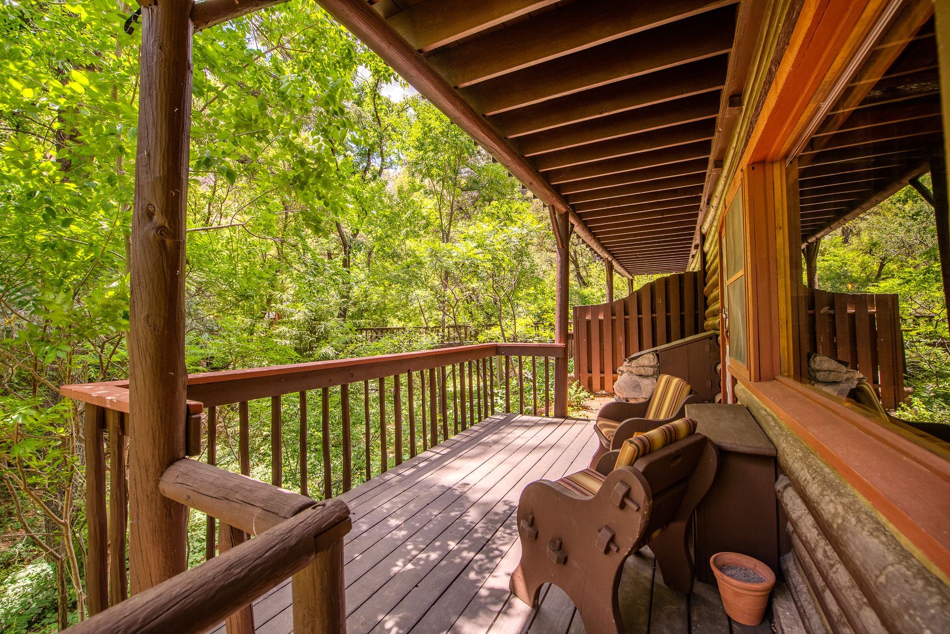 Wooden cabin porch overlooking lush green forest. Rustic chairs, potted plant.