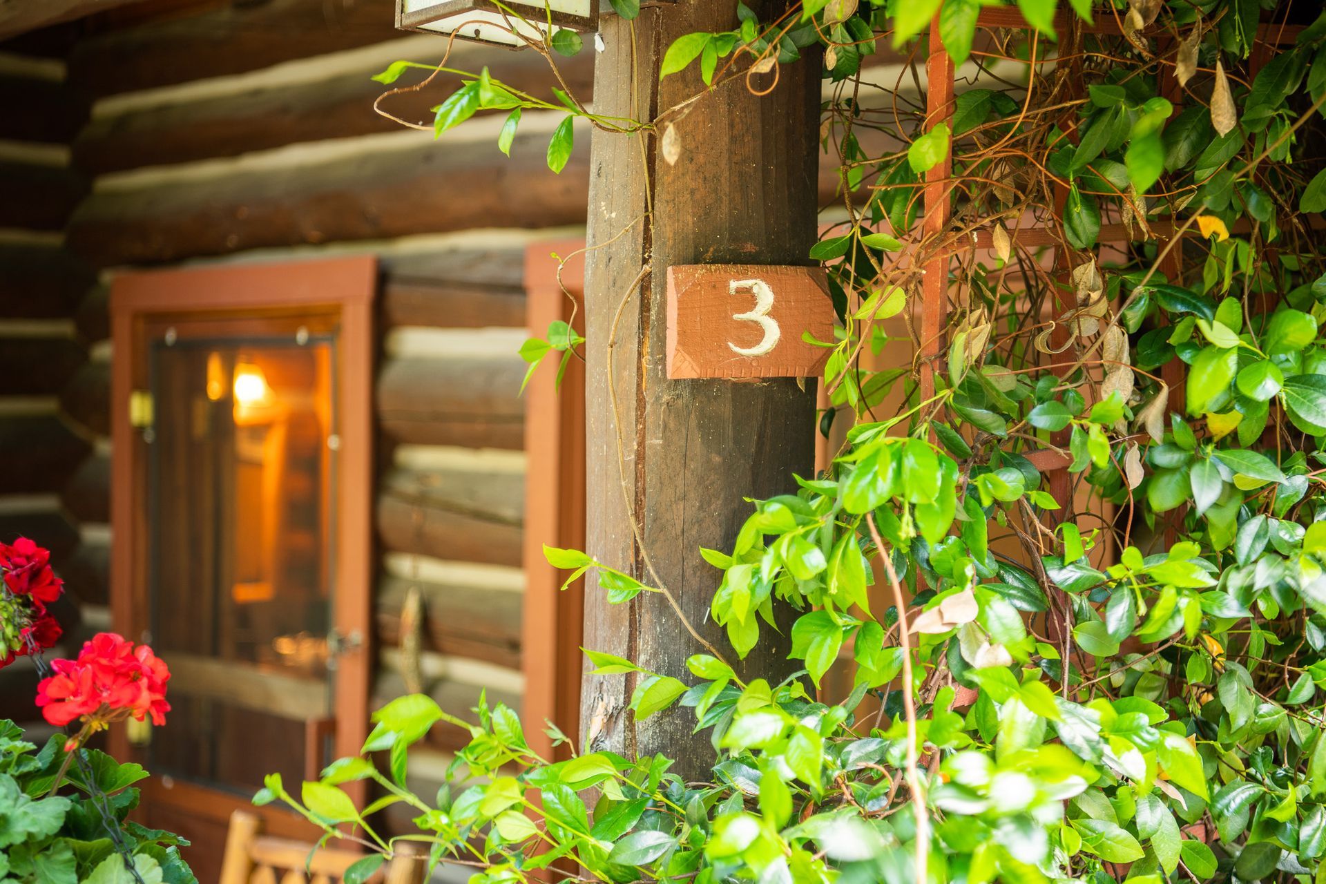 Wooden cabin exterior with door and number 3 sign, surrounded by green foliage and red flowers.