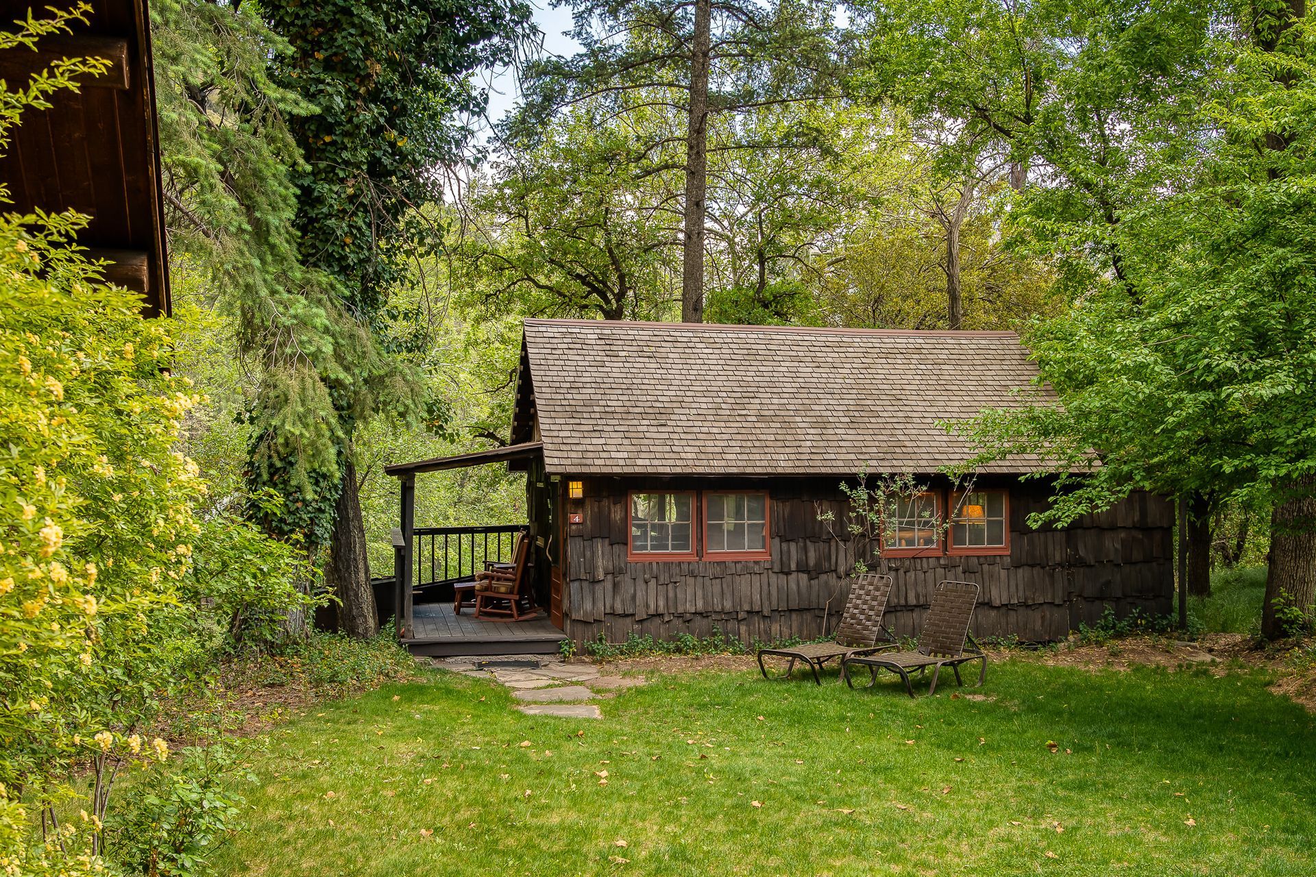 Rustic cabin with thatched roof nestled in lush green foliage.