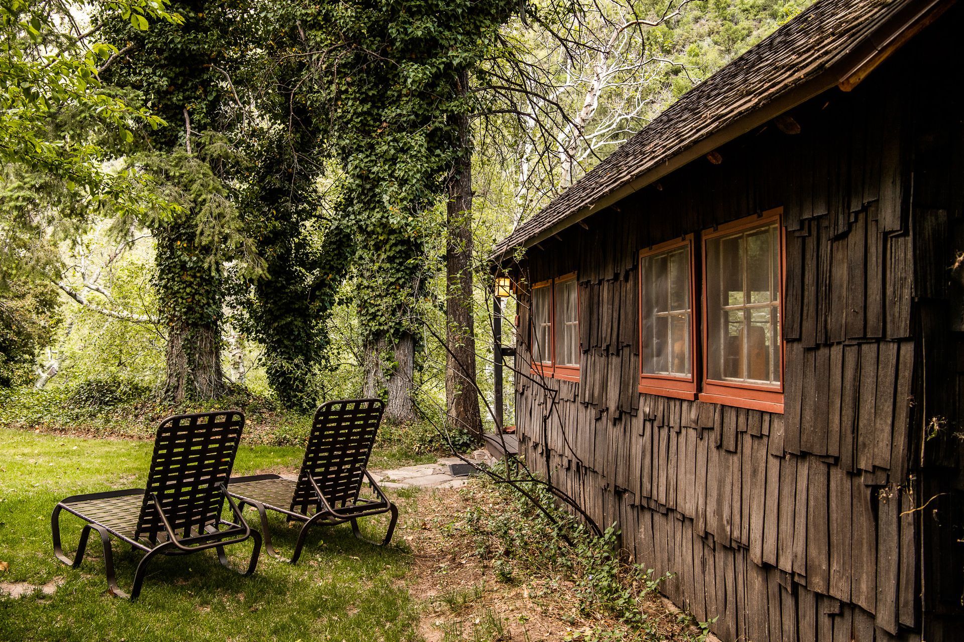 Two lounge chairs on grass next to a rustic wooden cabin in a forest setting.