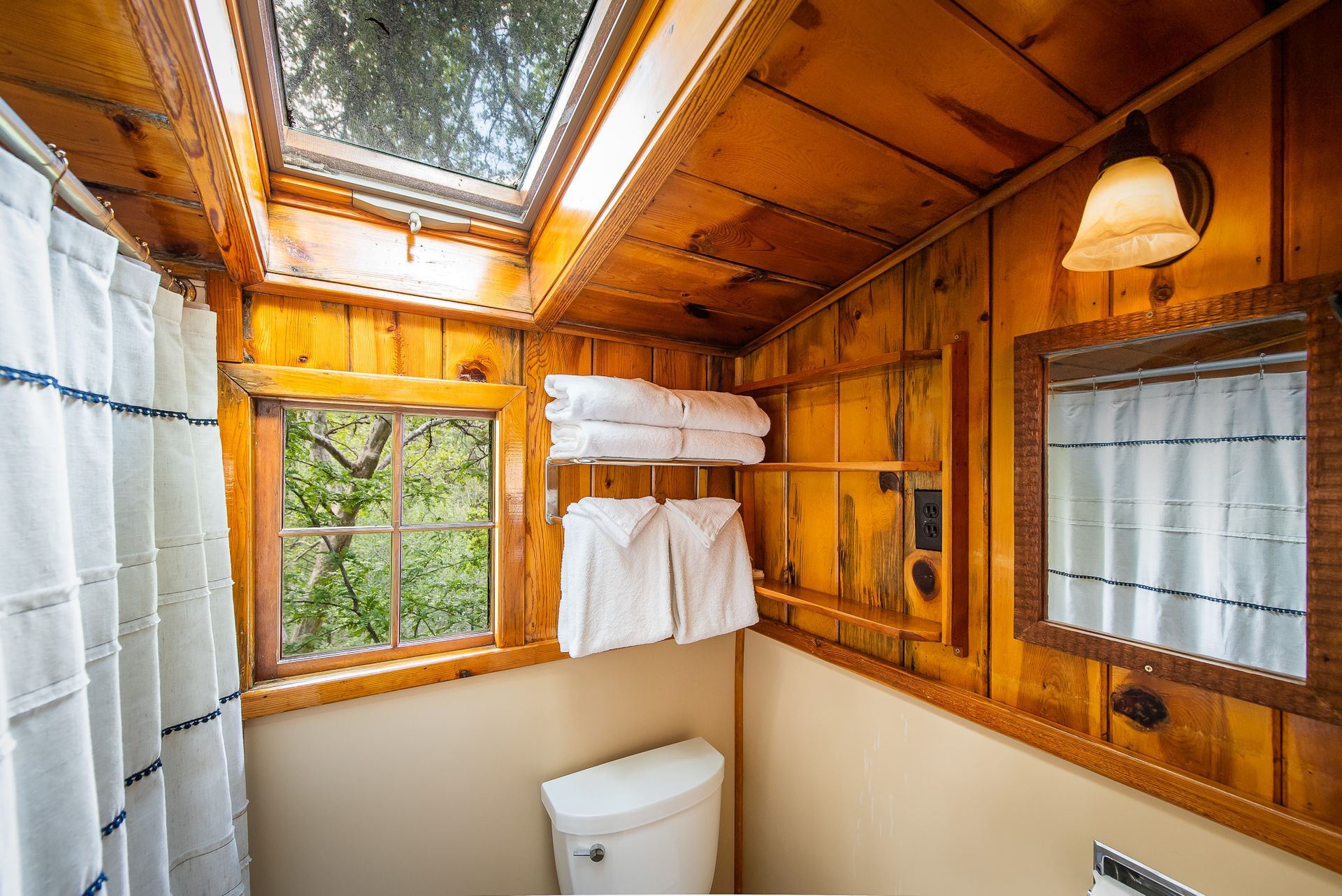 Small bathroom with wood paneling, skylight, window with greenery, and a toilet.