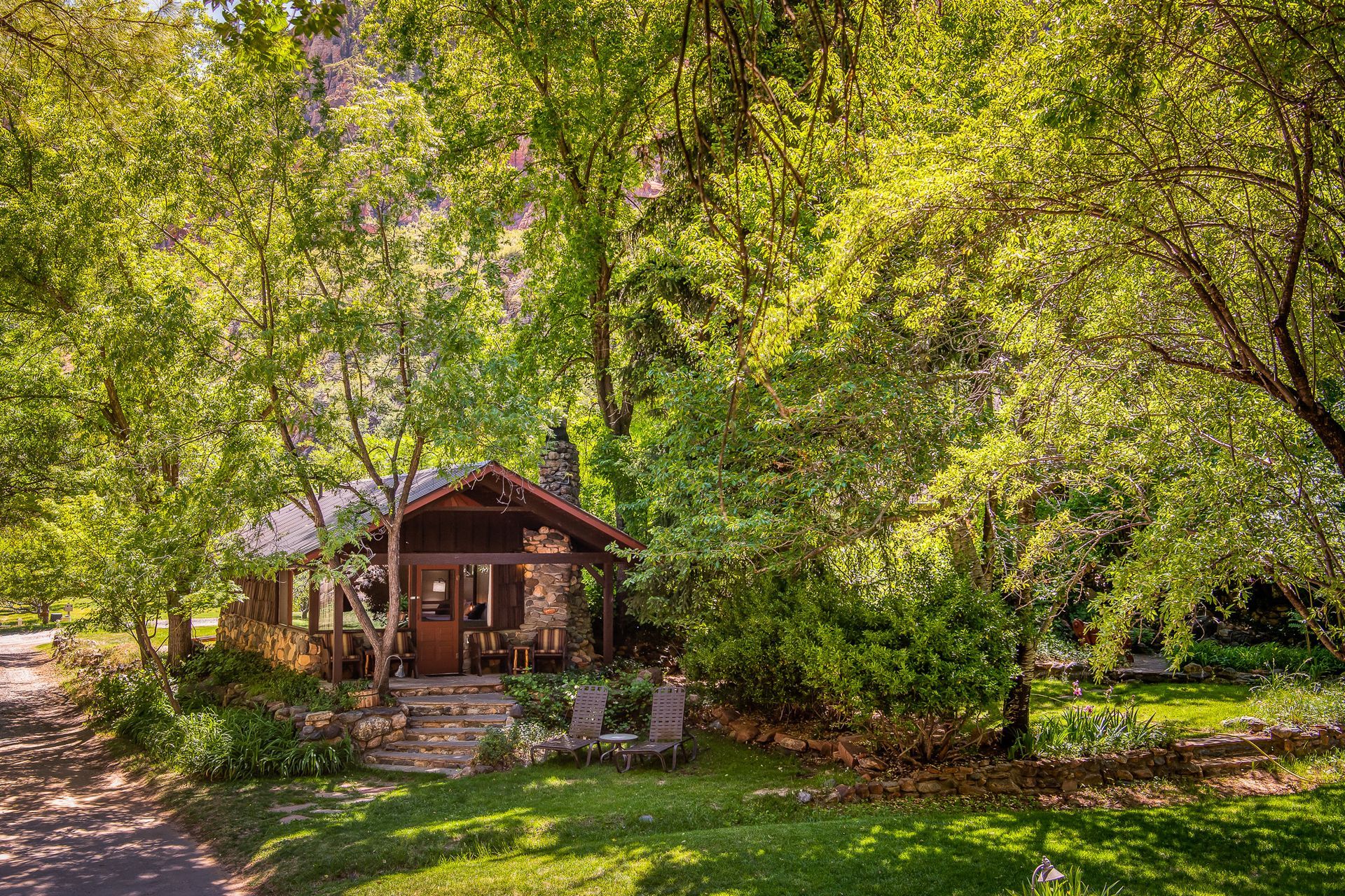 Cabin nestled in lush greenery; dappled sunlight, stone patio, inviting exterior.