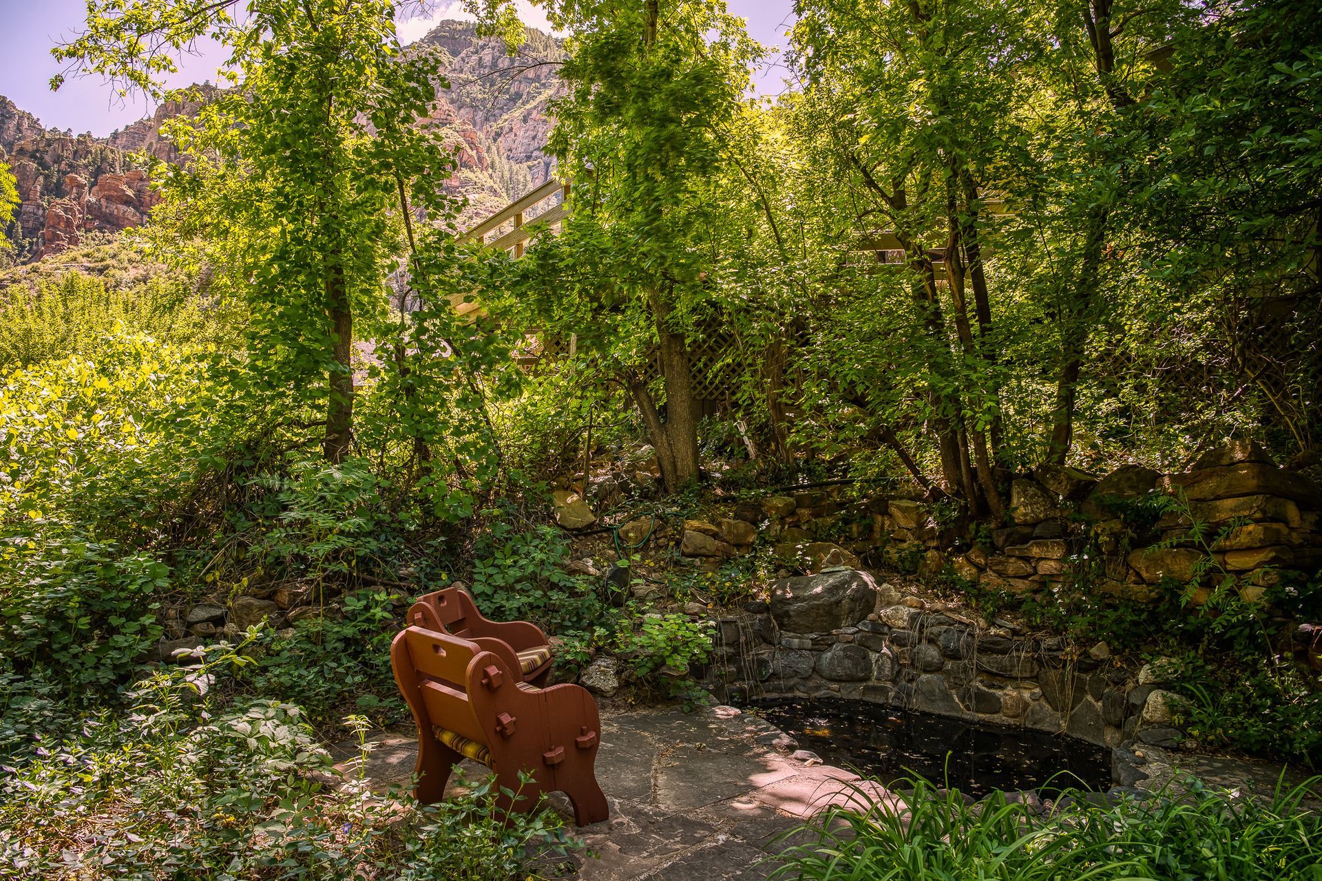 A wooden bench sits in a shaded forest clearing, surrounded by trees and lush greenery.