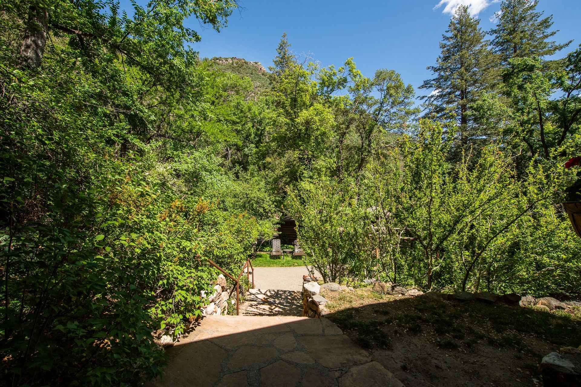 Stone path leads to a lush green area under a bright blue sky, flanked by trees.
