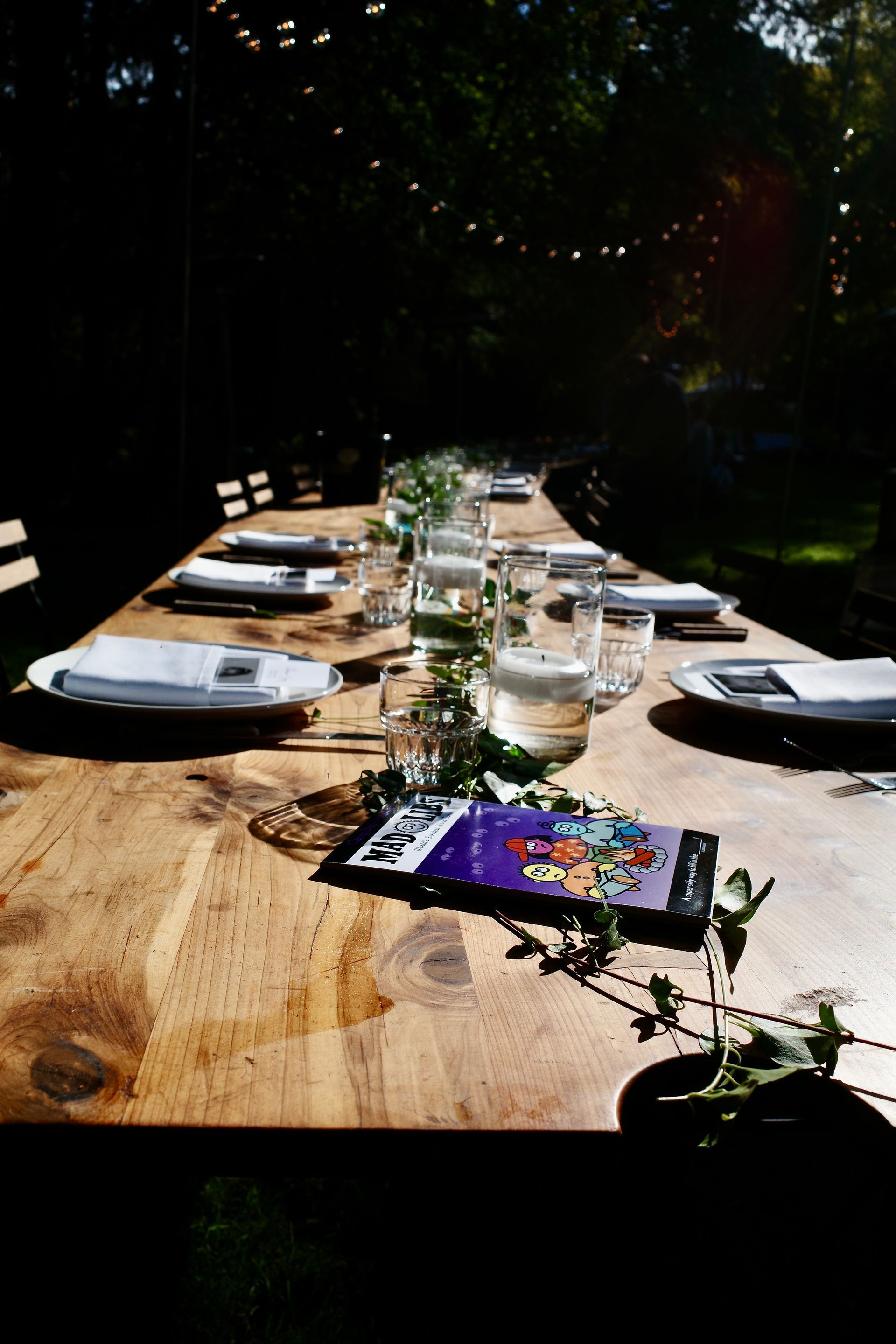 Long wooden table set for a meal outdoors, with water glasses, plates, and menus; sunlight streams through trees.
