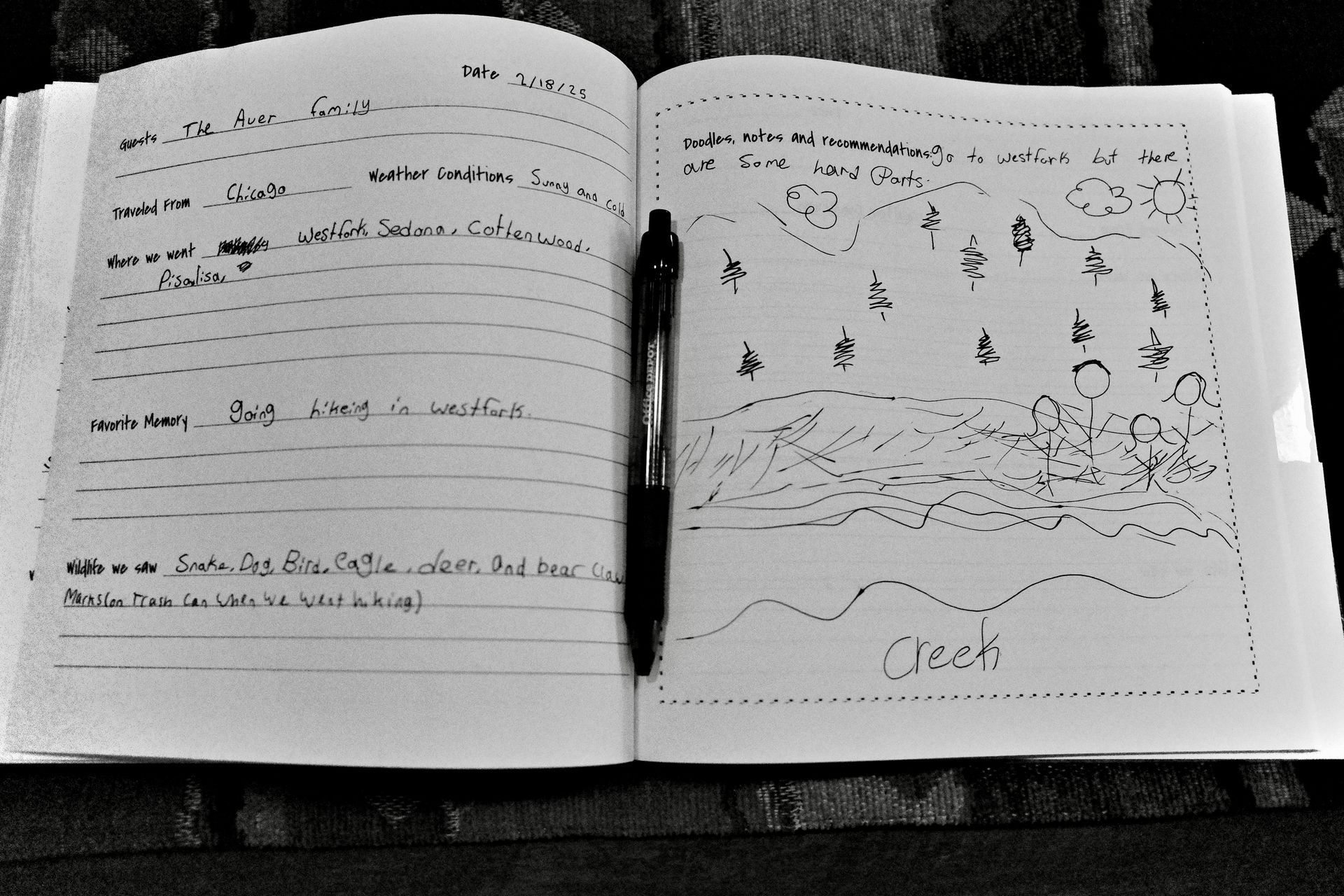 Open notebook with pen, lists on one side and a drawing of a landscape with trees and the word 
